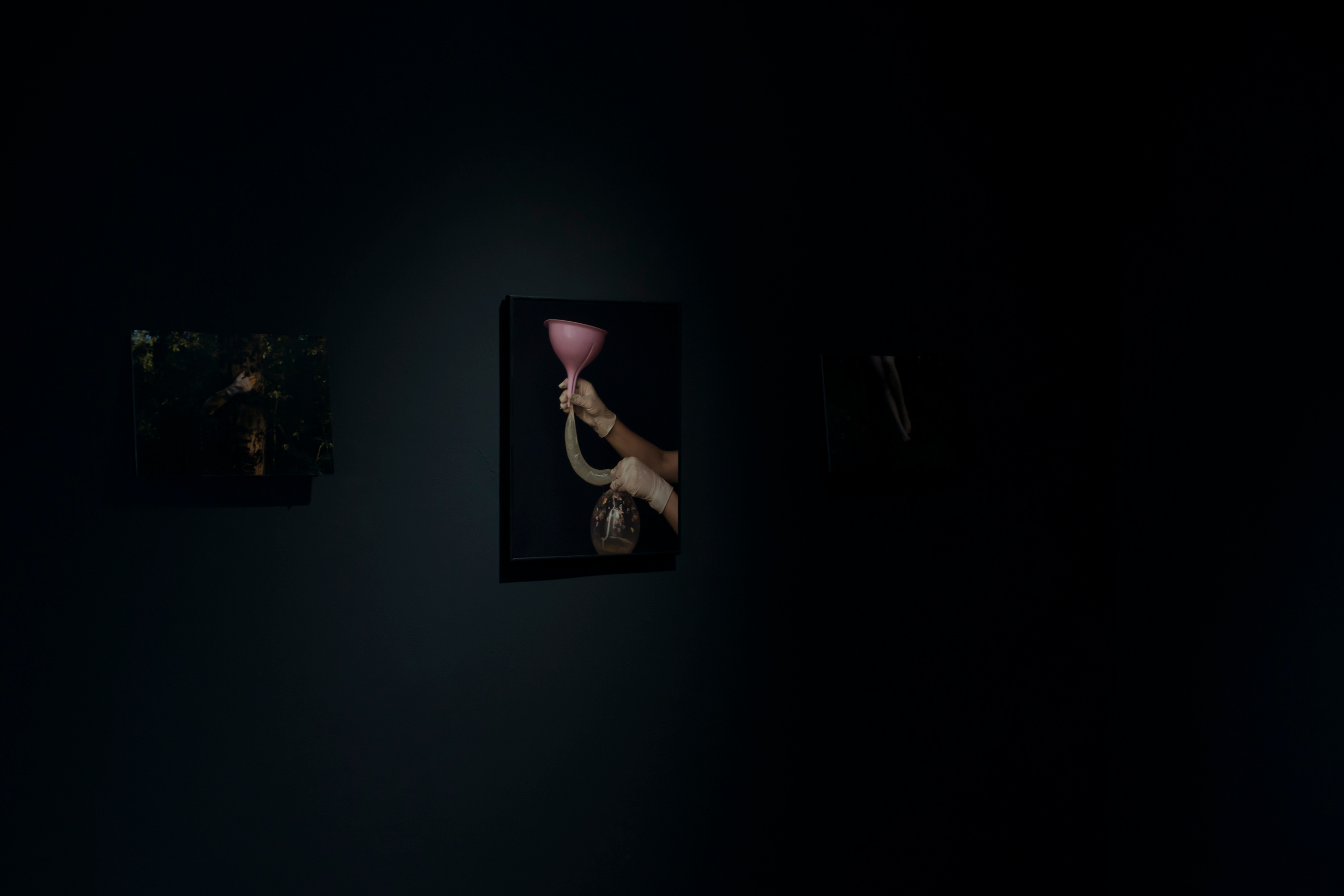 Фотографический музей «Дом Метенкова», г. Екатеринбург, 2022 г. Plechinta Ekaterina — documentary photographer