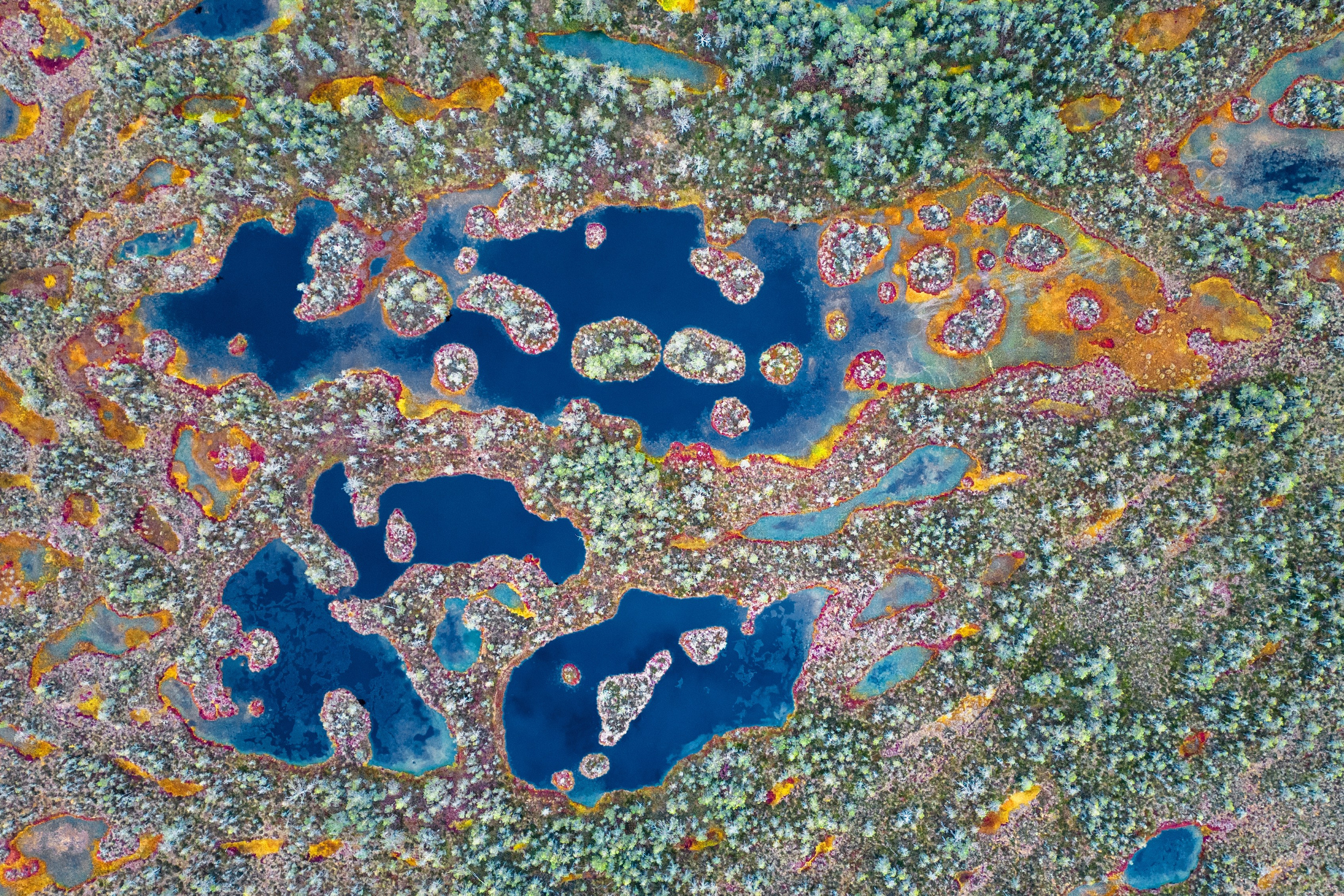 Осень на Карельском перешейке. Сентябрь