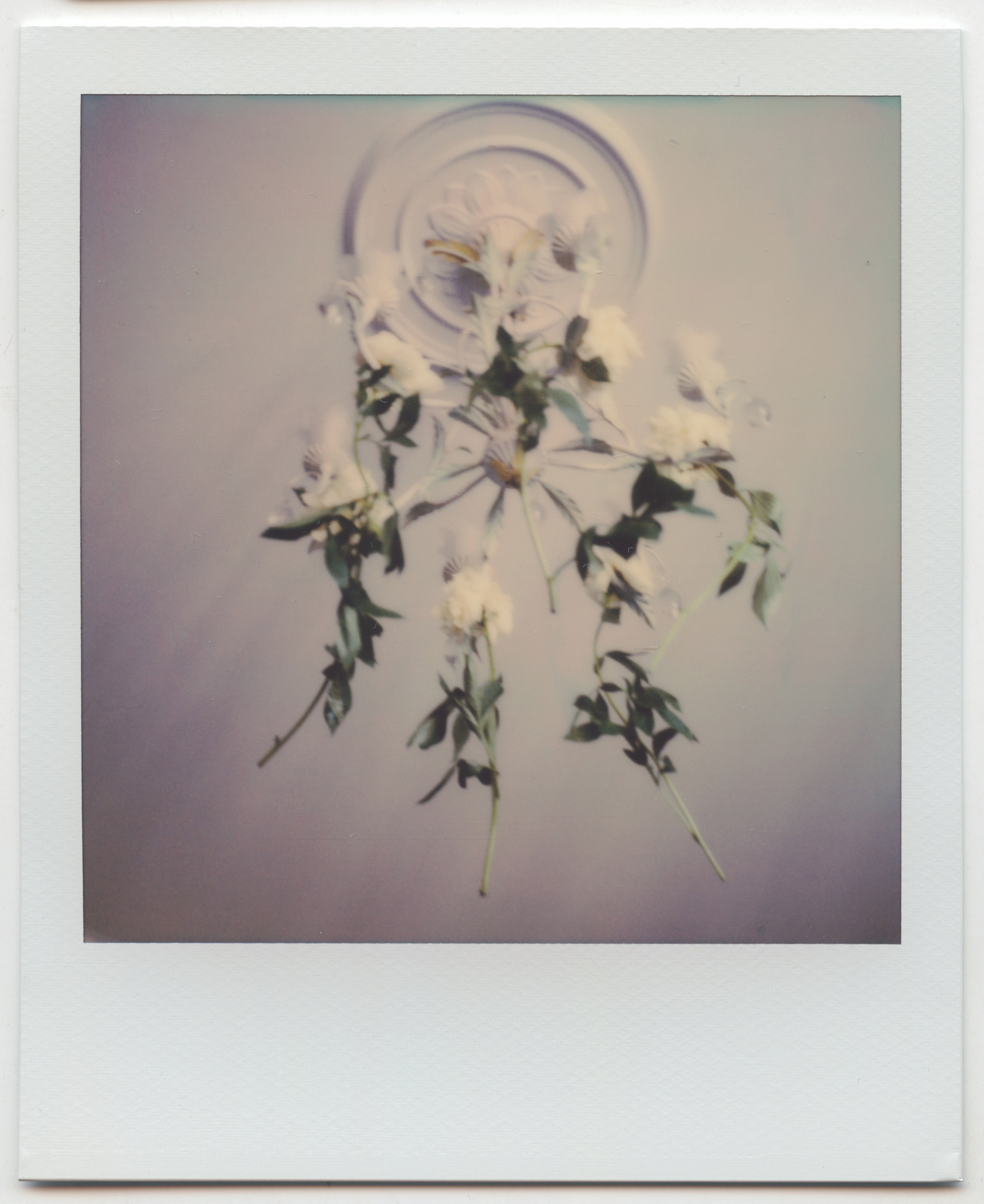 Portaits. Varya Kozhevnikova | Варя Кожевникова