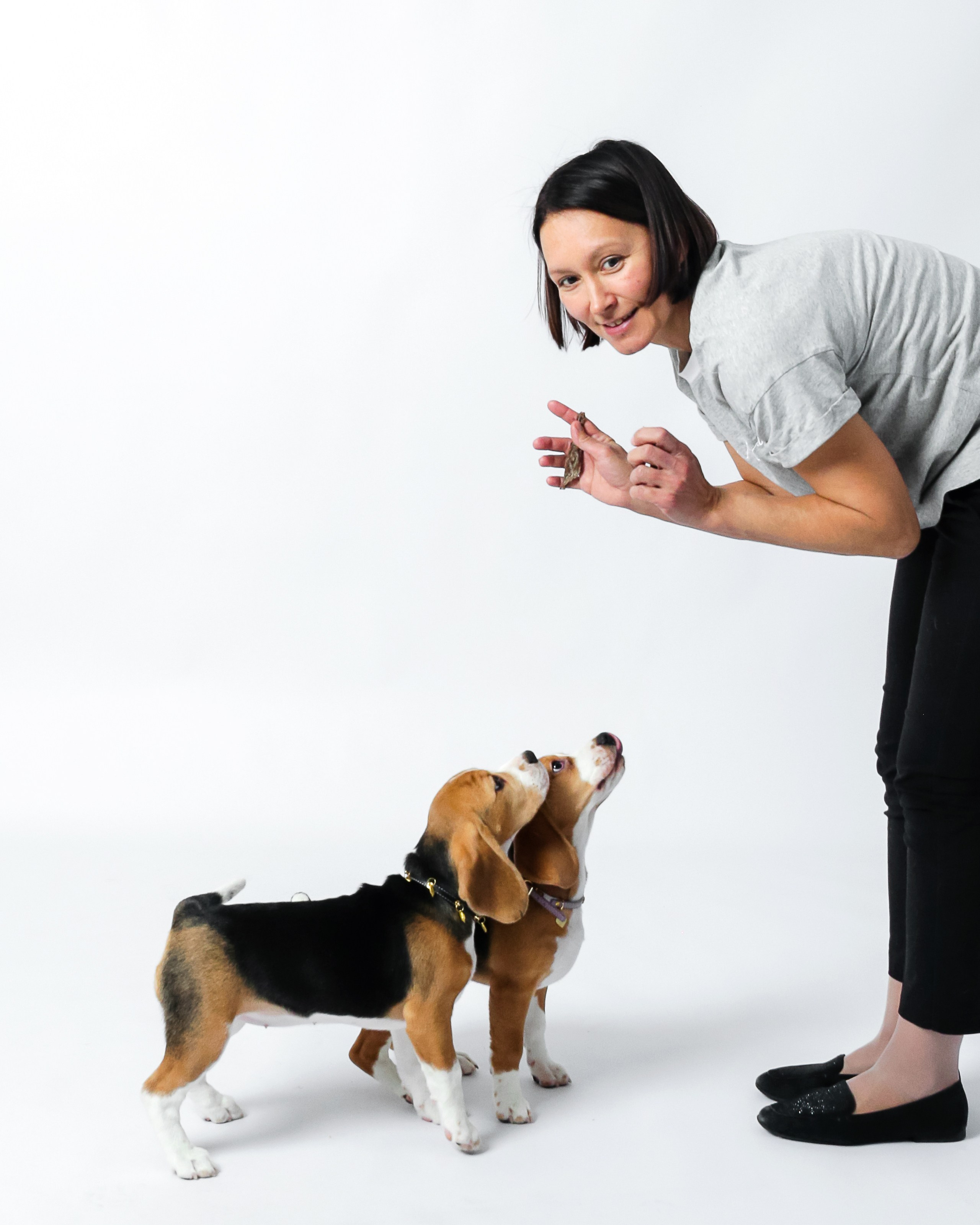 Любимые собаки и хозяйка. Фотостудия Автопортретная № 2 в Ижевске