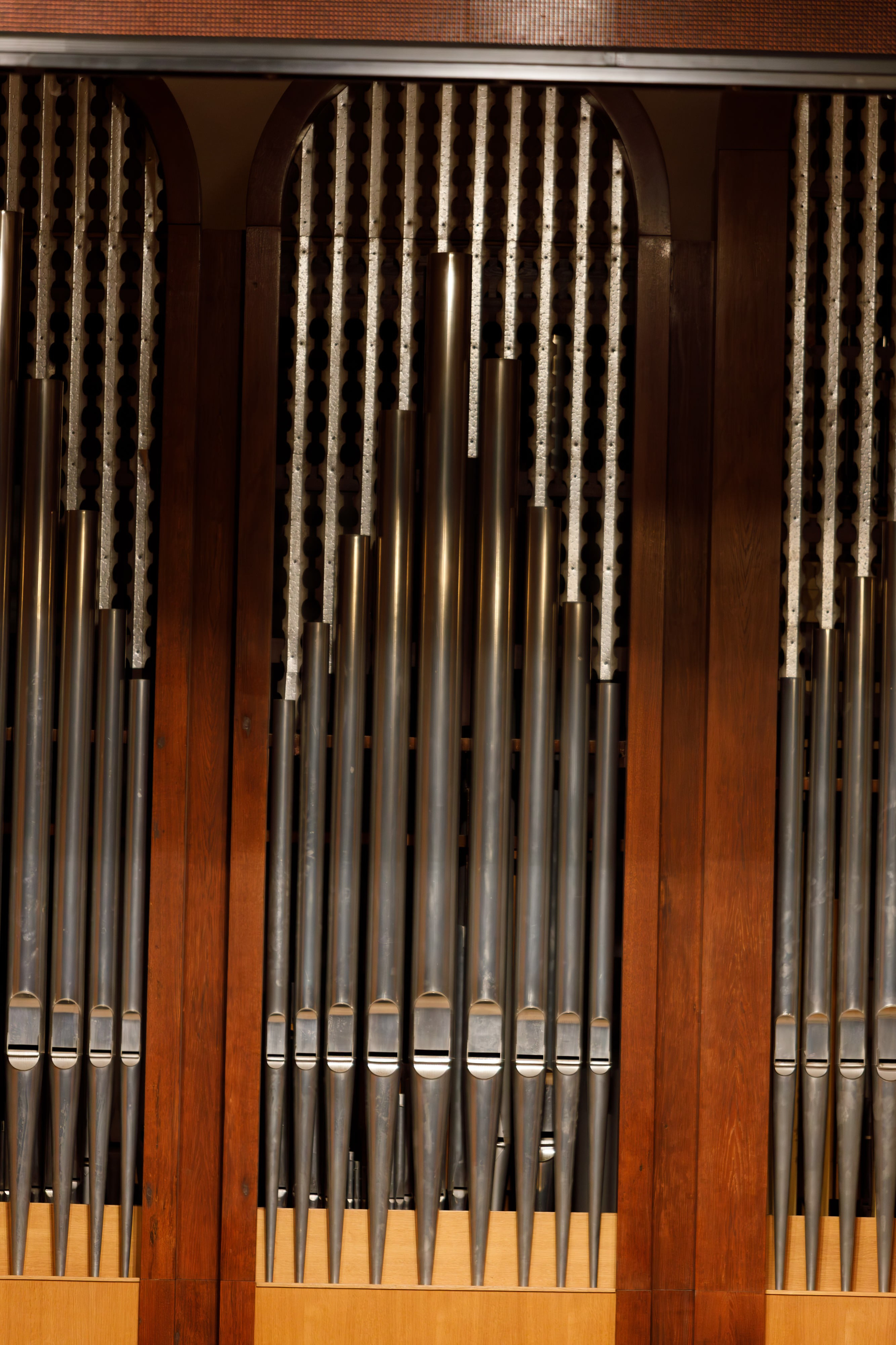 Фотография органа в Сочи