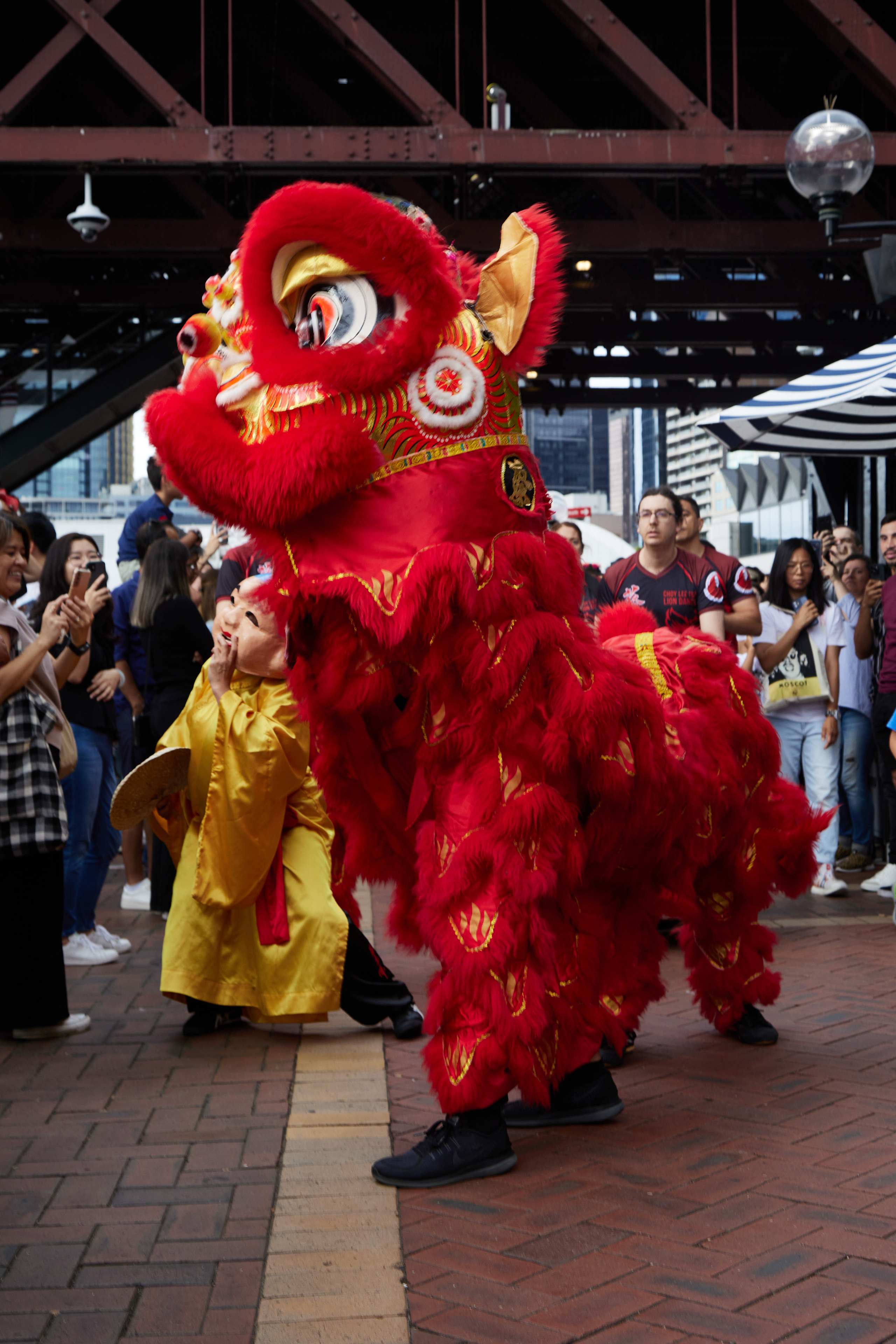 A Lunar new year and lion dancing at Darling Habour