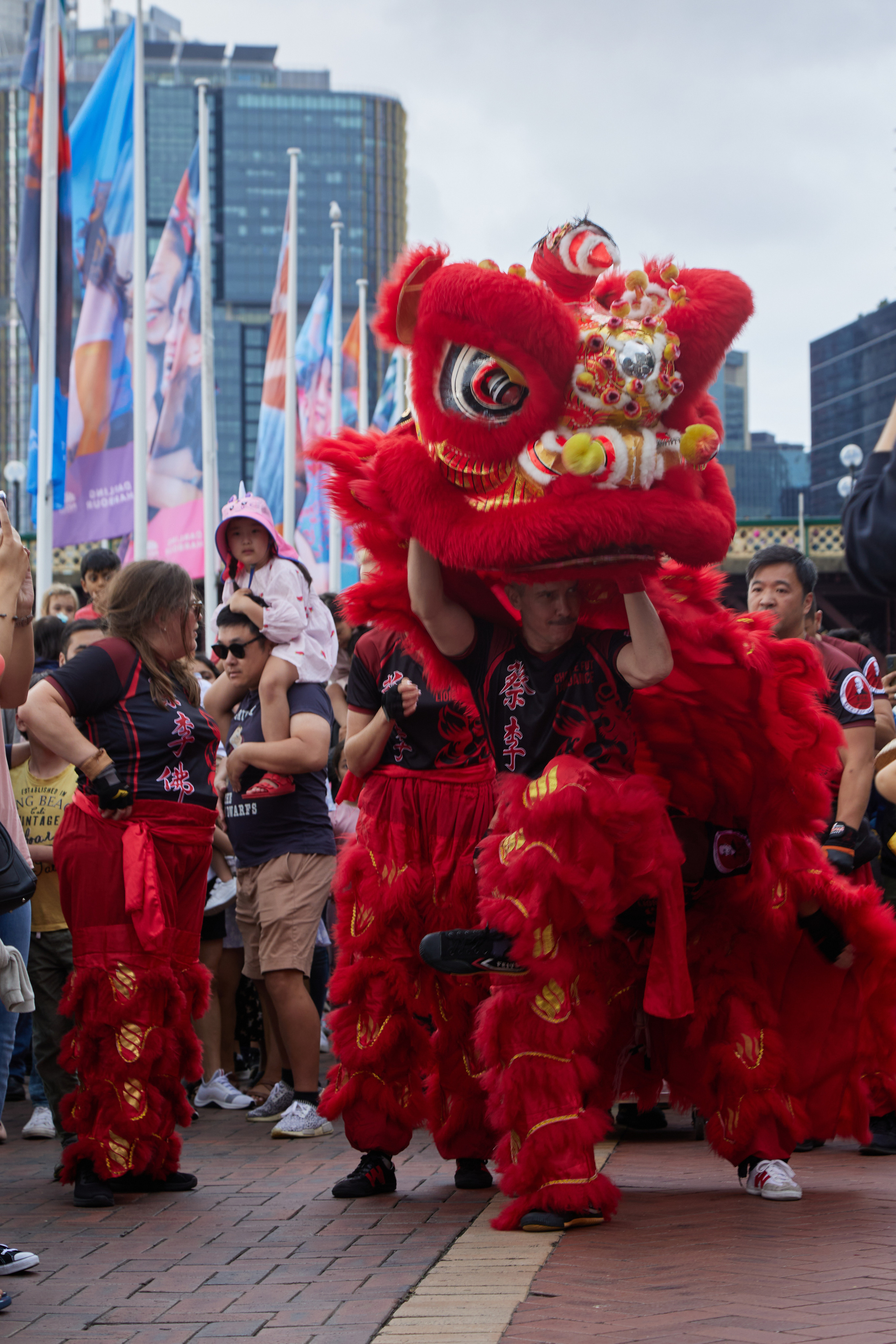 Celebrating a lunar new year in Sydney