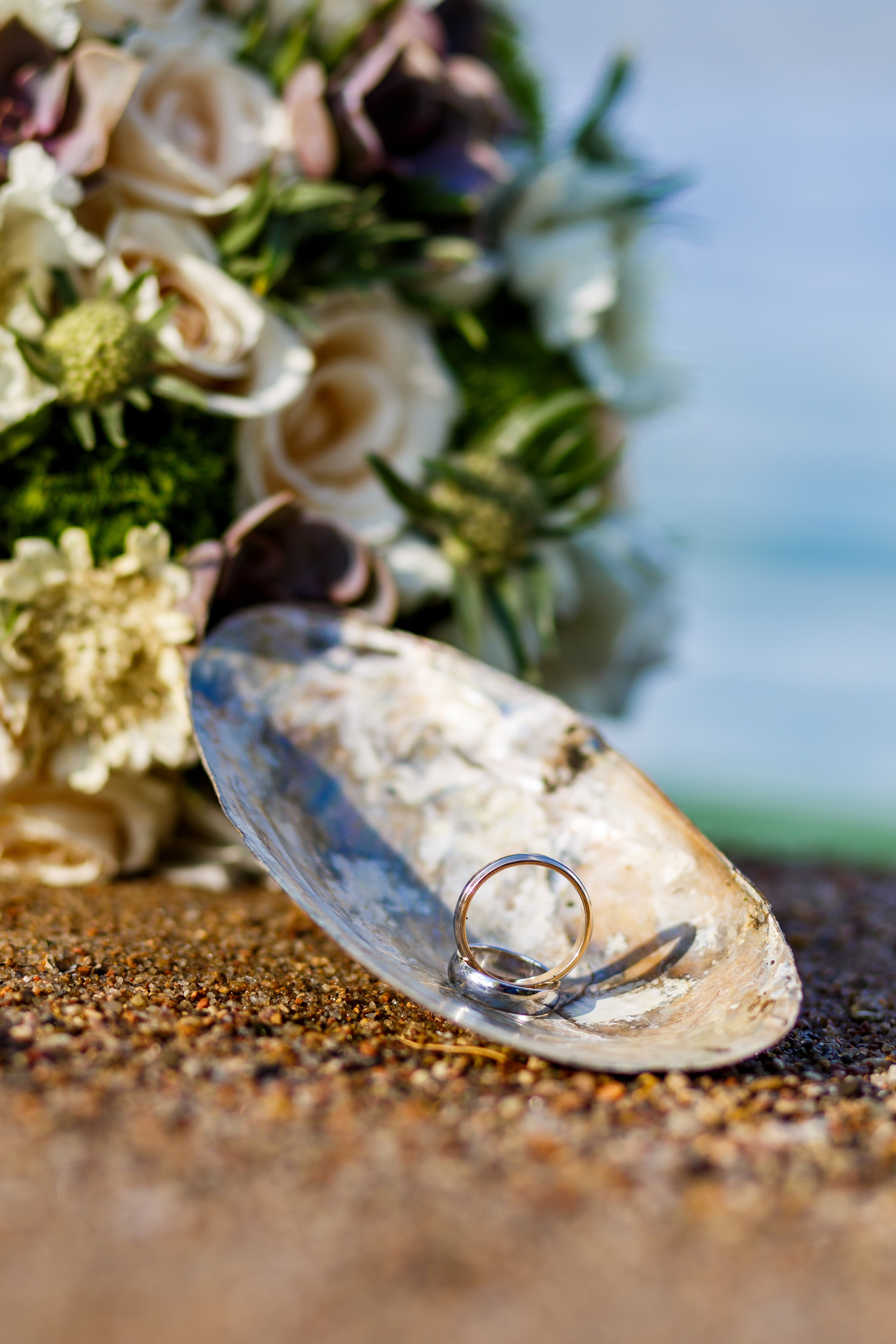 Фотограф Дмитрий Блюдой