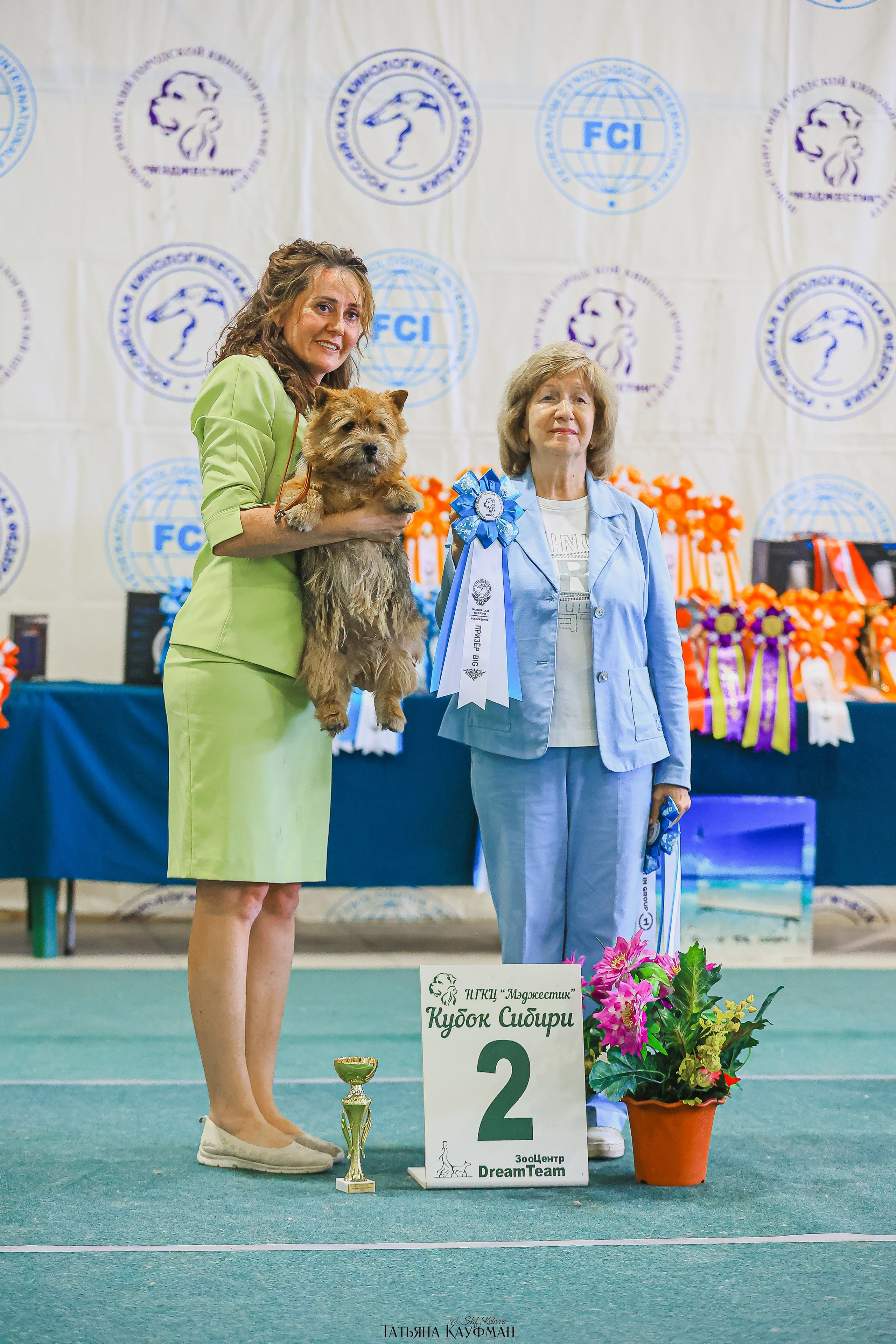 13.07.25 2х выставки собак. Новосибирск. «Кубок Сибири»