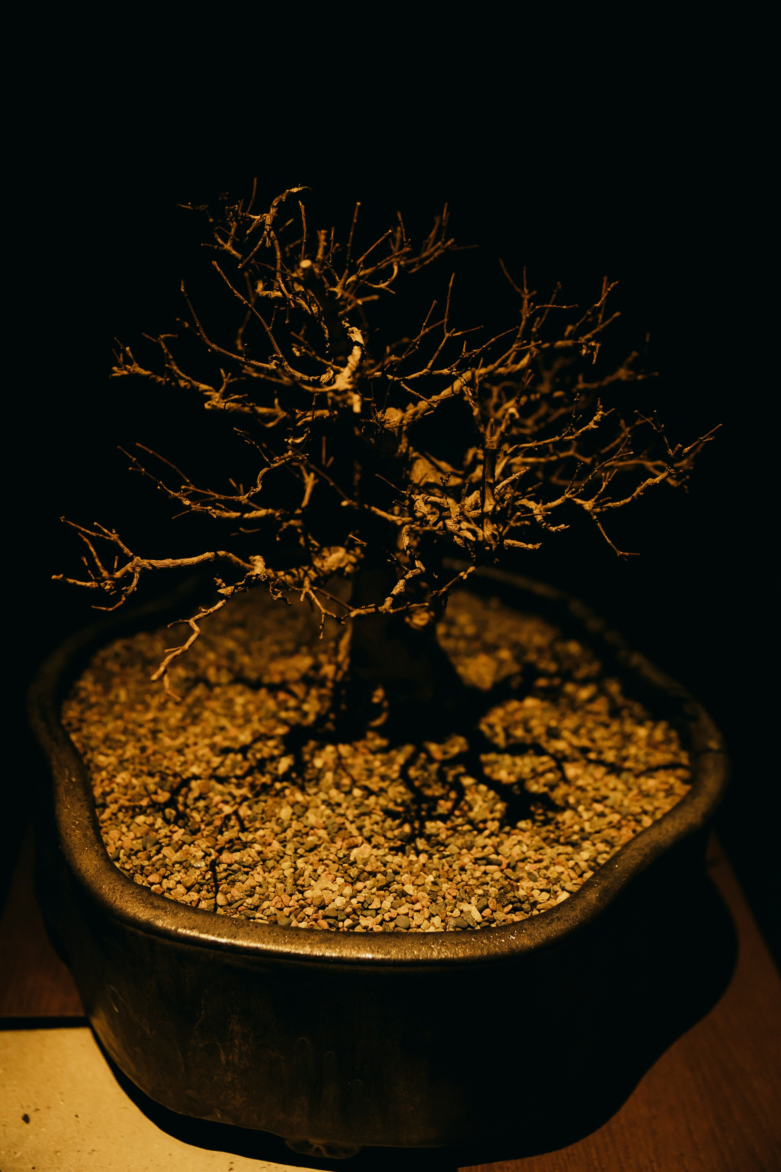 День рождения Ирины Зарьковой, IKURA, Moscow. «Птичка на проводе»: информационный портал в Москве