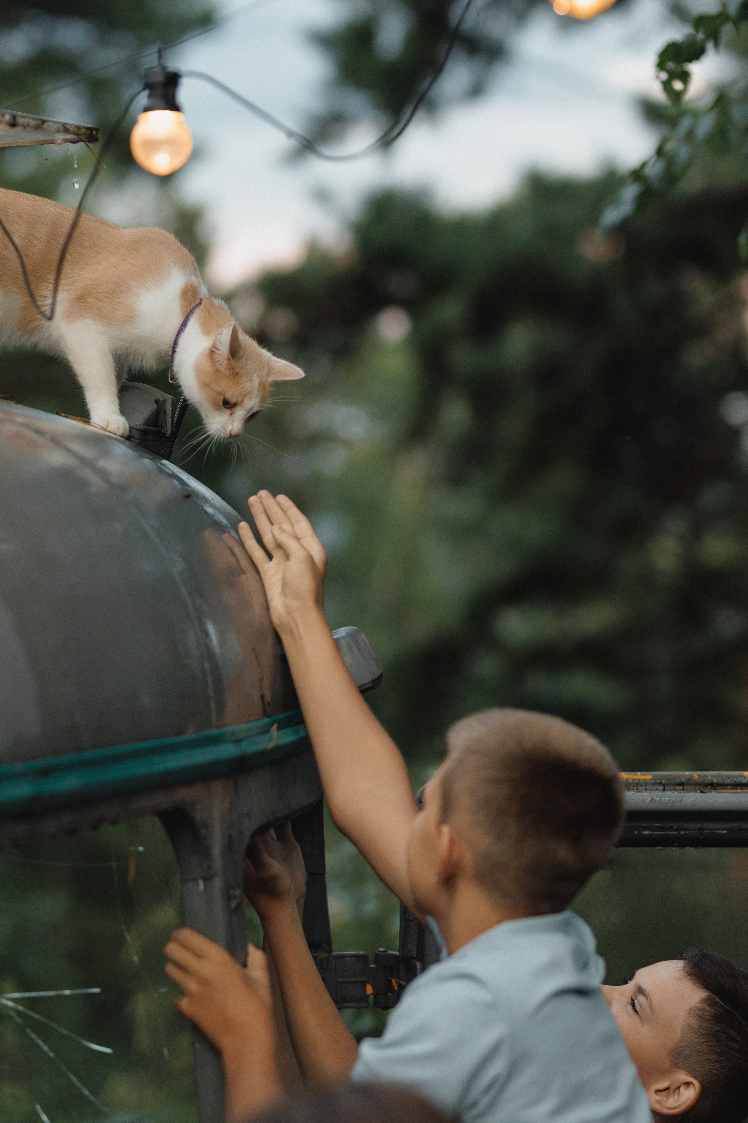 Свадебный, love-story и семейный фотограф в Томске Радий Ринатович