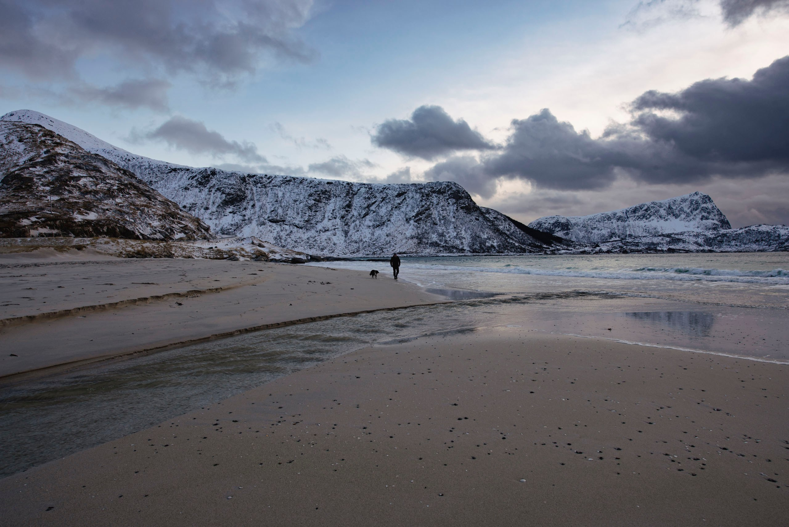 Человек с собакой гуляет по песчаному пляжу Хаукланд (Haukland Beach) на Лофотенских островах в Норвегии на фоне заснеженных гор под пасмурным небом.