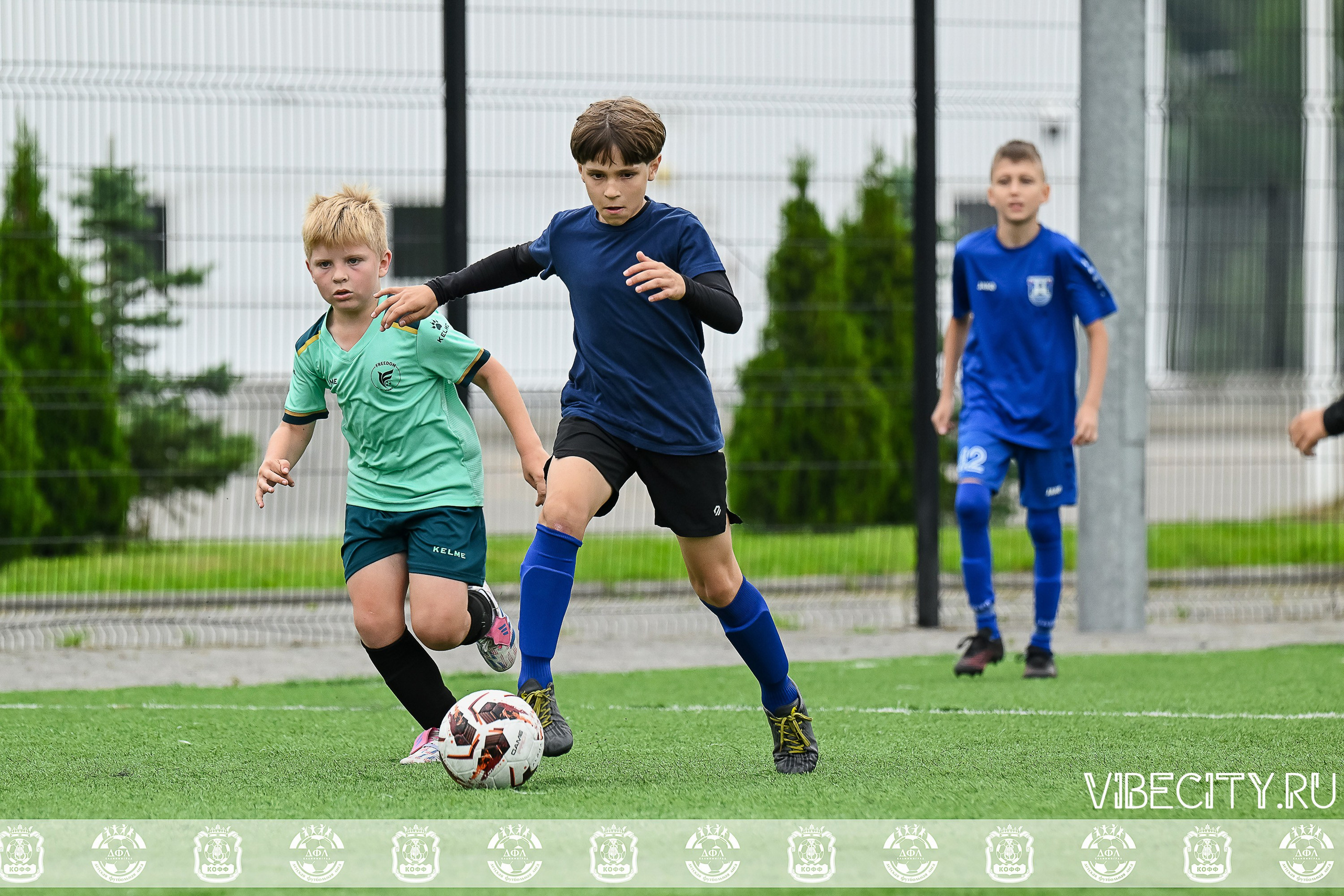 Калининградская Детская Футбольная Лига. VIBECITY.RU Вайб Сити Ру Фоторепортажи Фотоотчеты Калининград