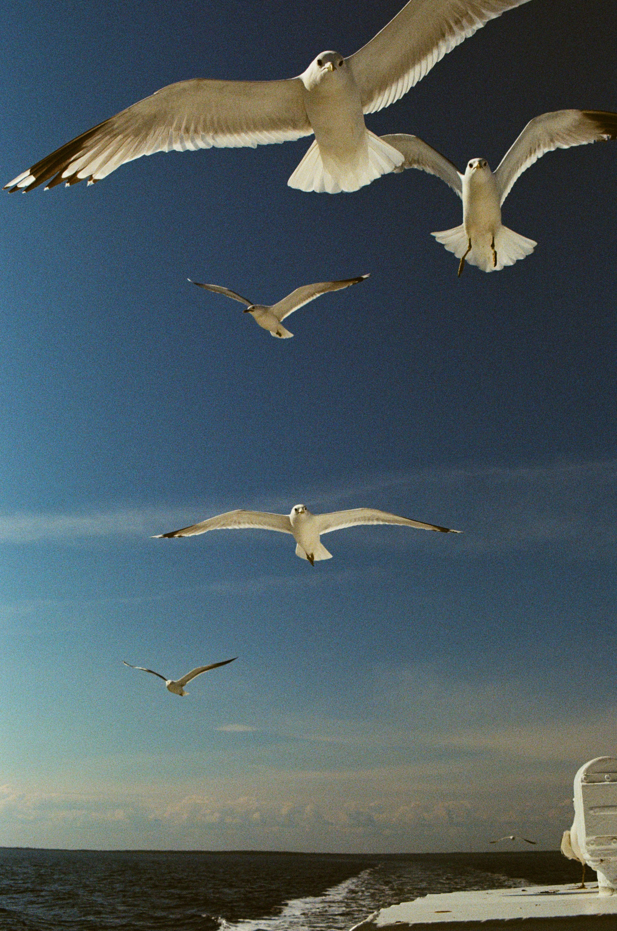 Автор: Юлия Гаркушенко