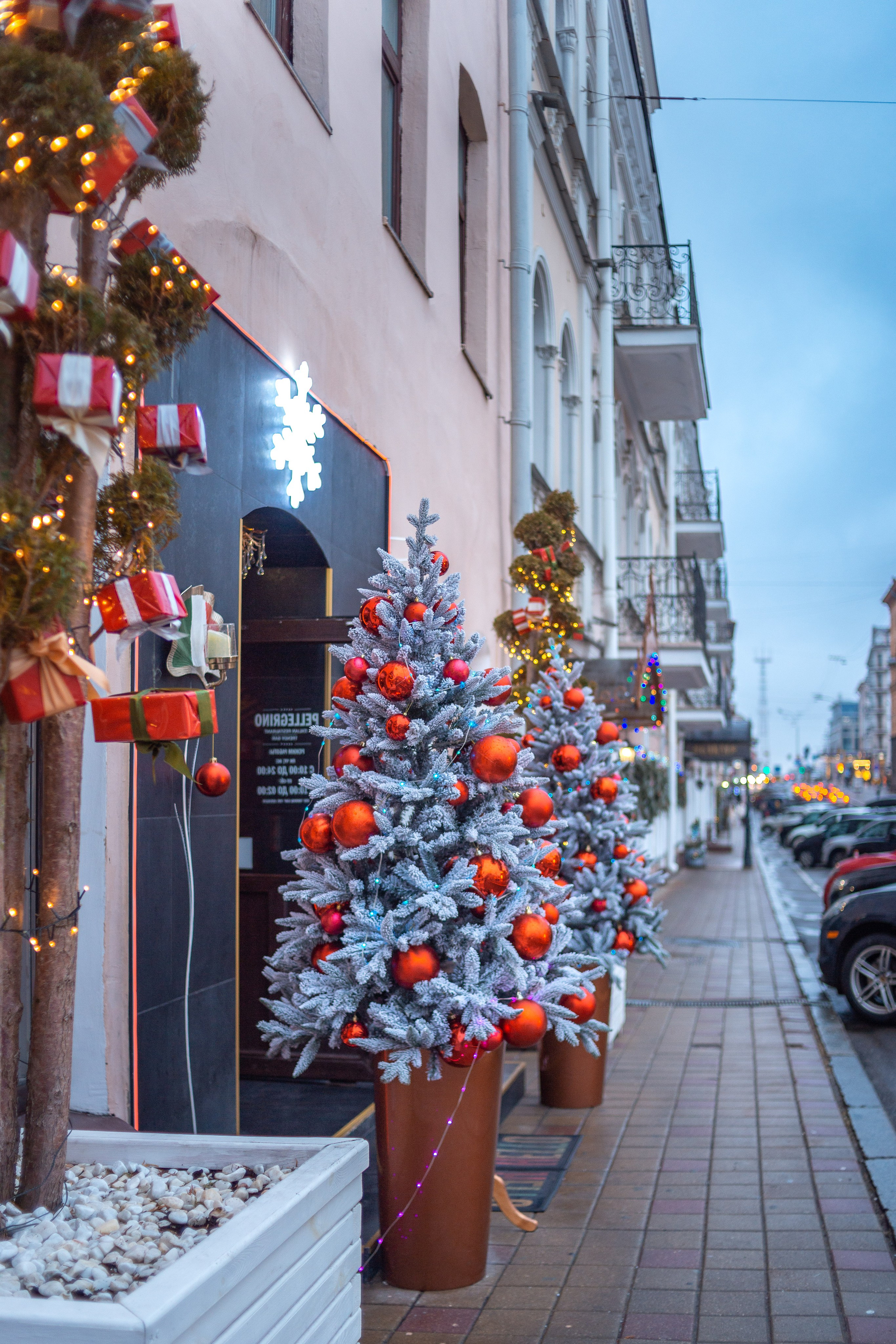 Фотосессия с городской елкой, Минск