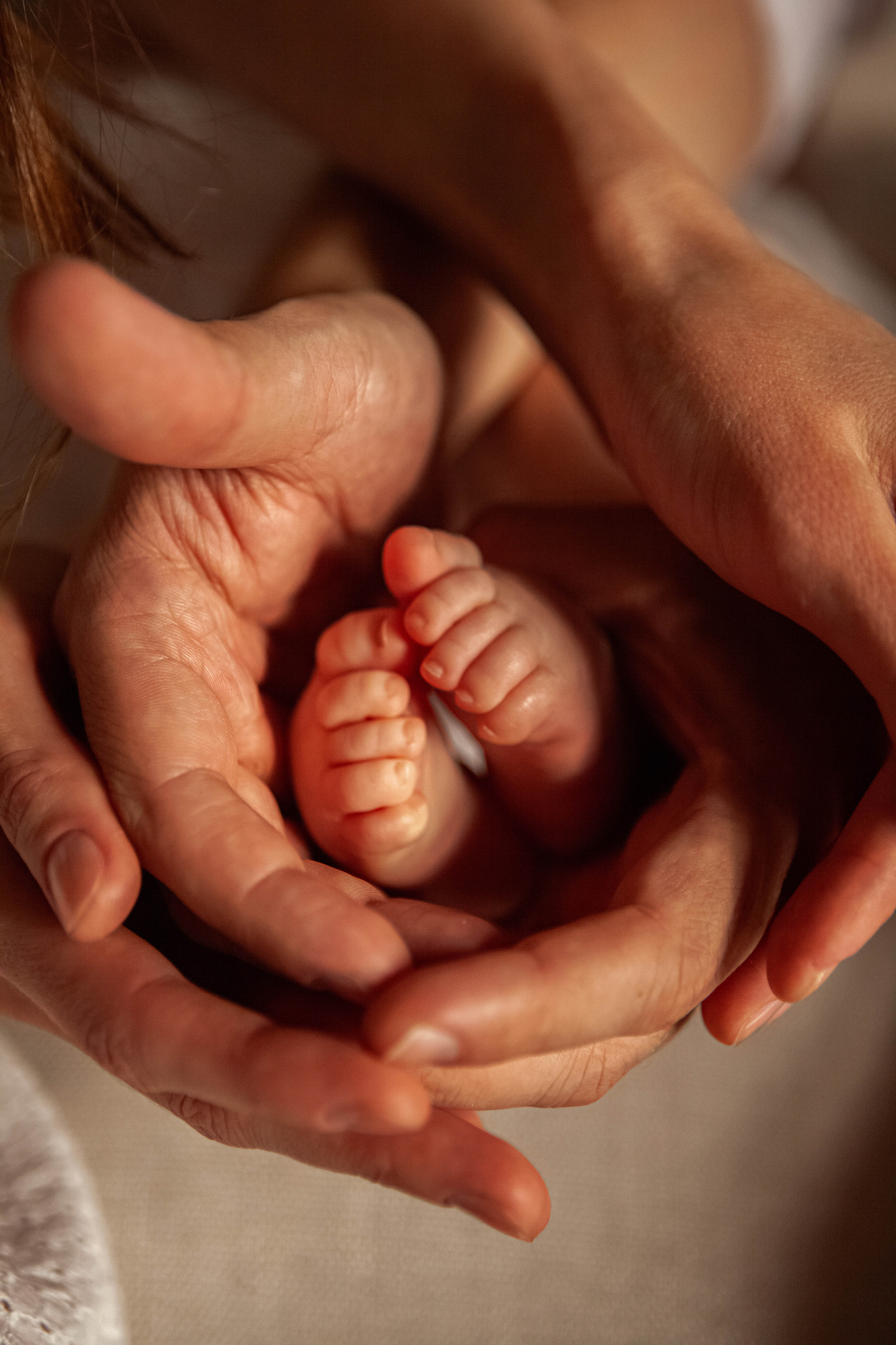 Свадебный фотограф в СПБ | Санкт-Петербурге Анастасия Рахимгулова