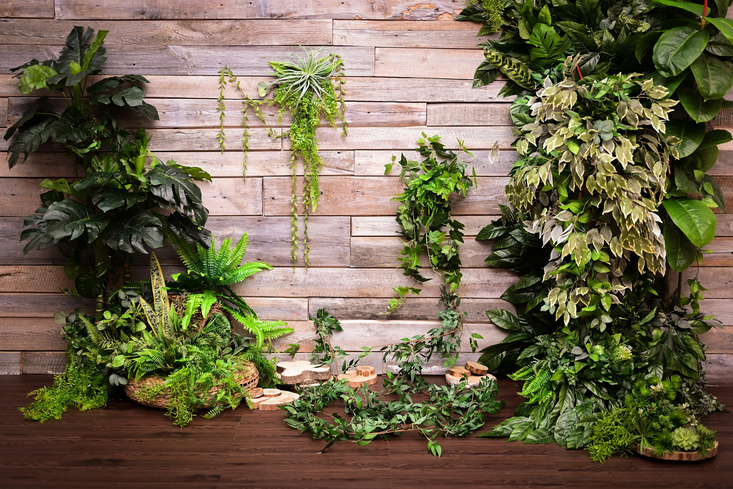 Зал — Sweet. Фотостудия Зефир. Фотосессии в студии под ключ. Москва. Семейные и детские фотосессии