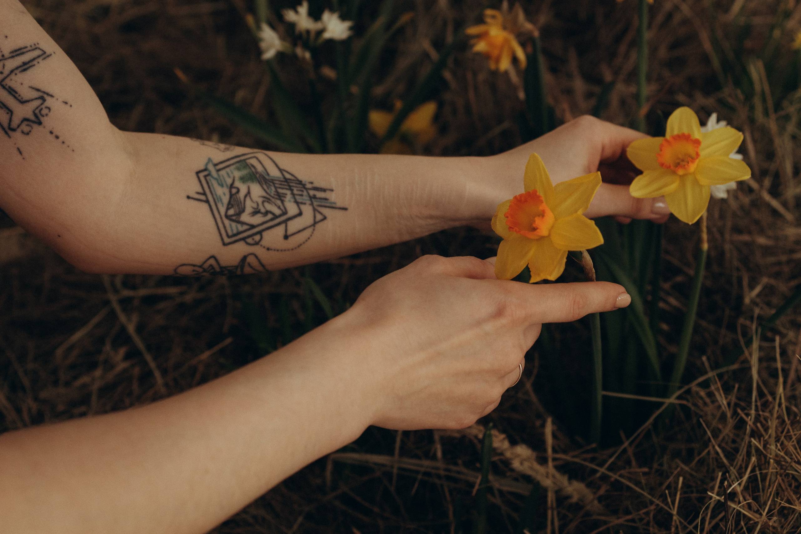 Алина. Фотограф Москва Алёна Суворова