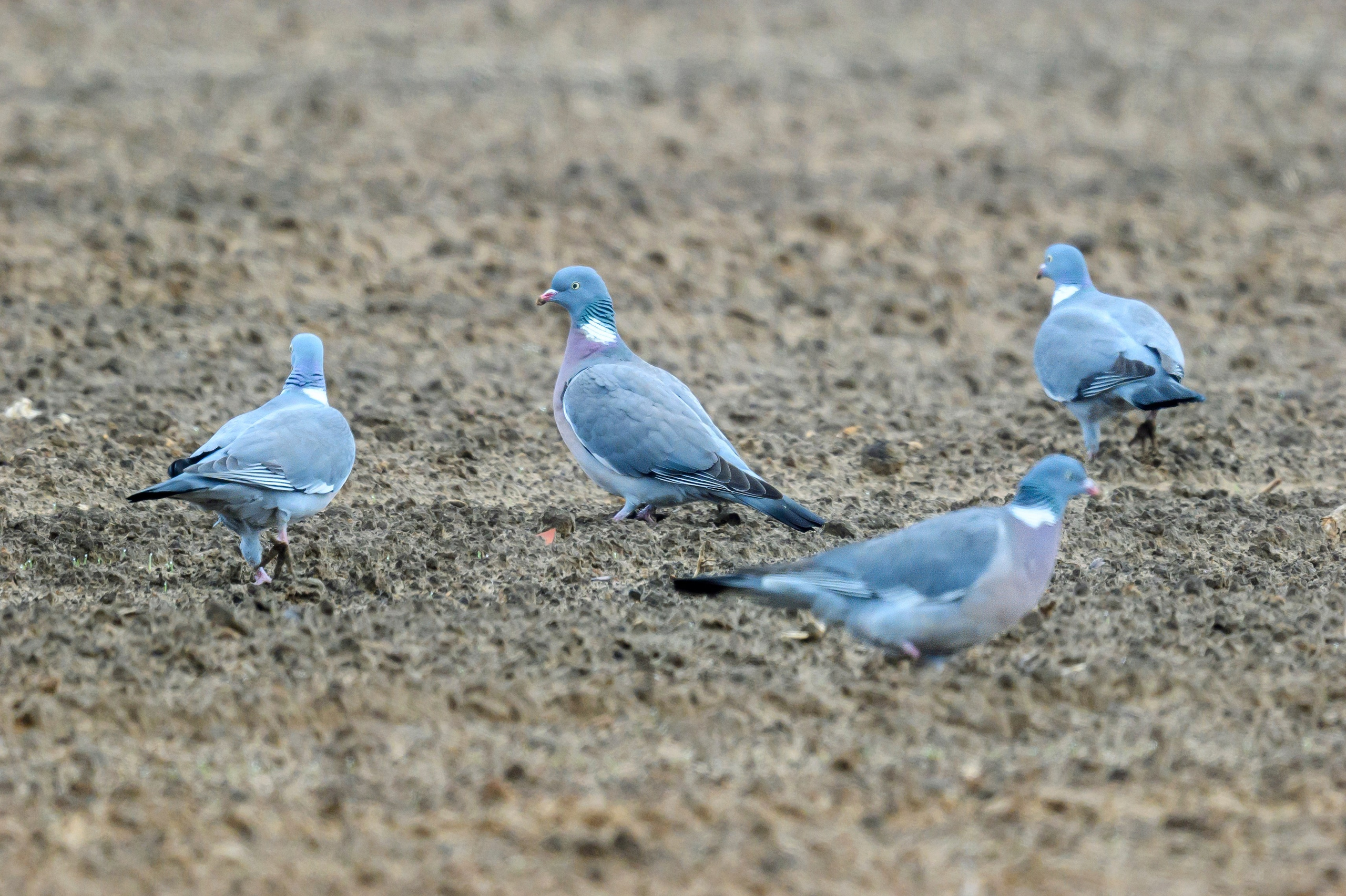 Ждем хорошую погоду. Фотограф Сергей Пупонин