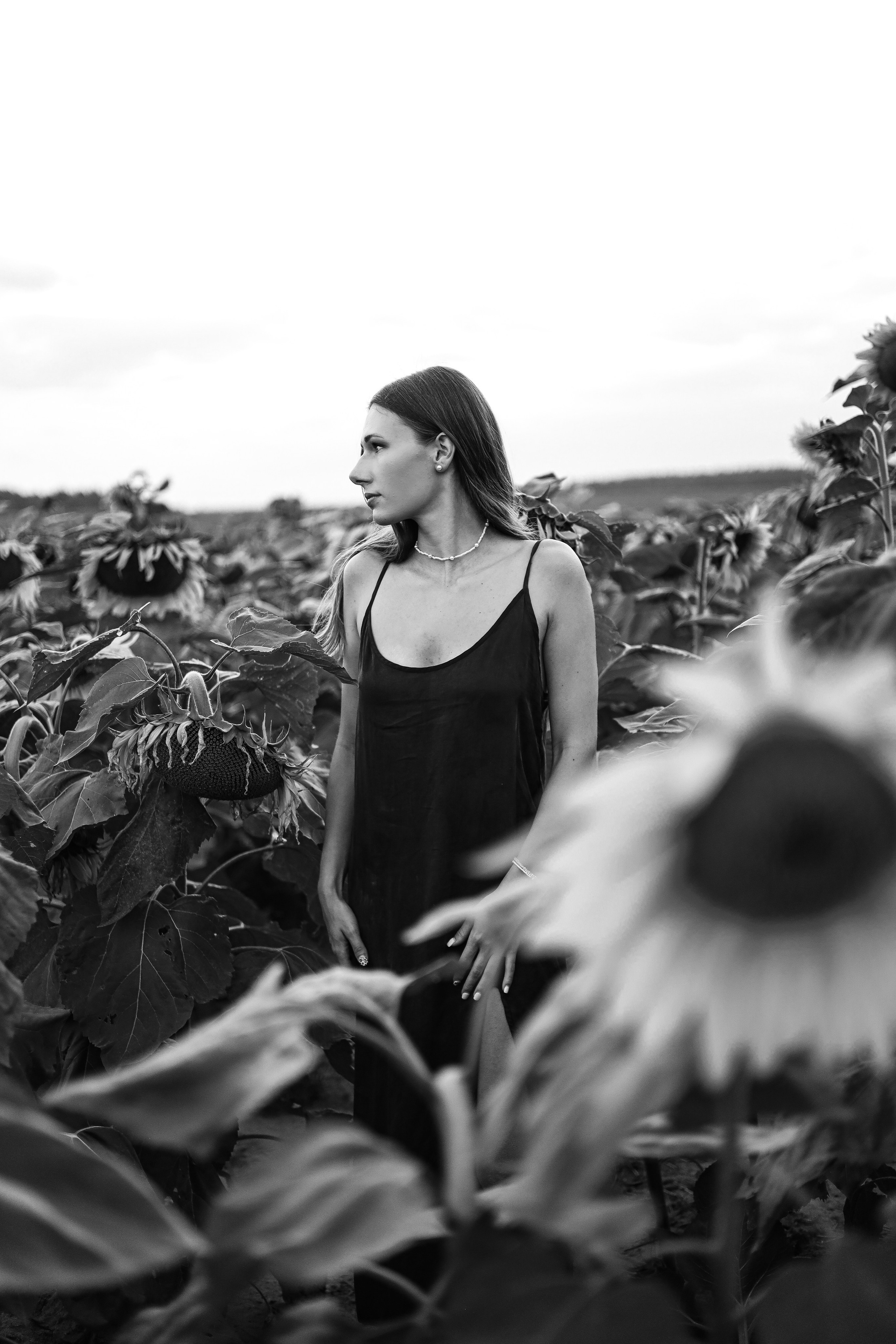 Подсолнухи 🌻. Мария Бриль семейный и детский Lifestyle фотограф Москва