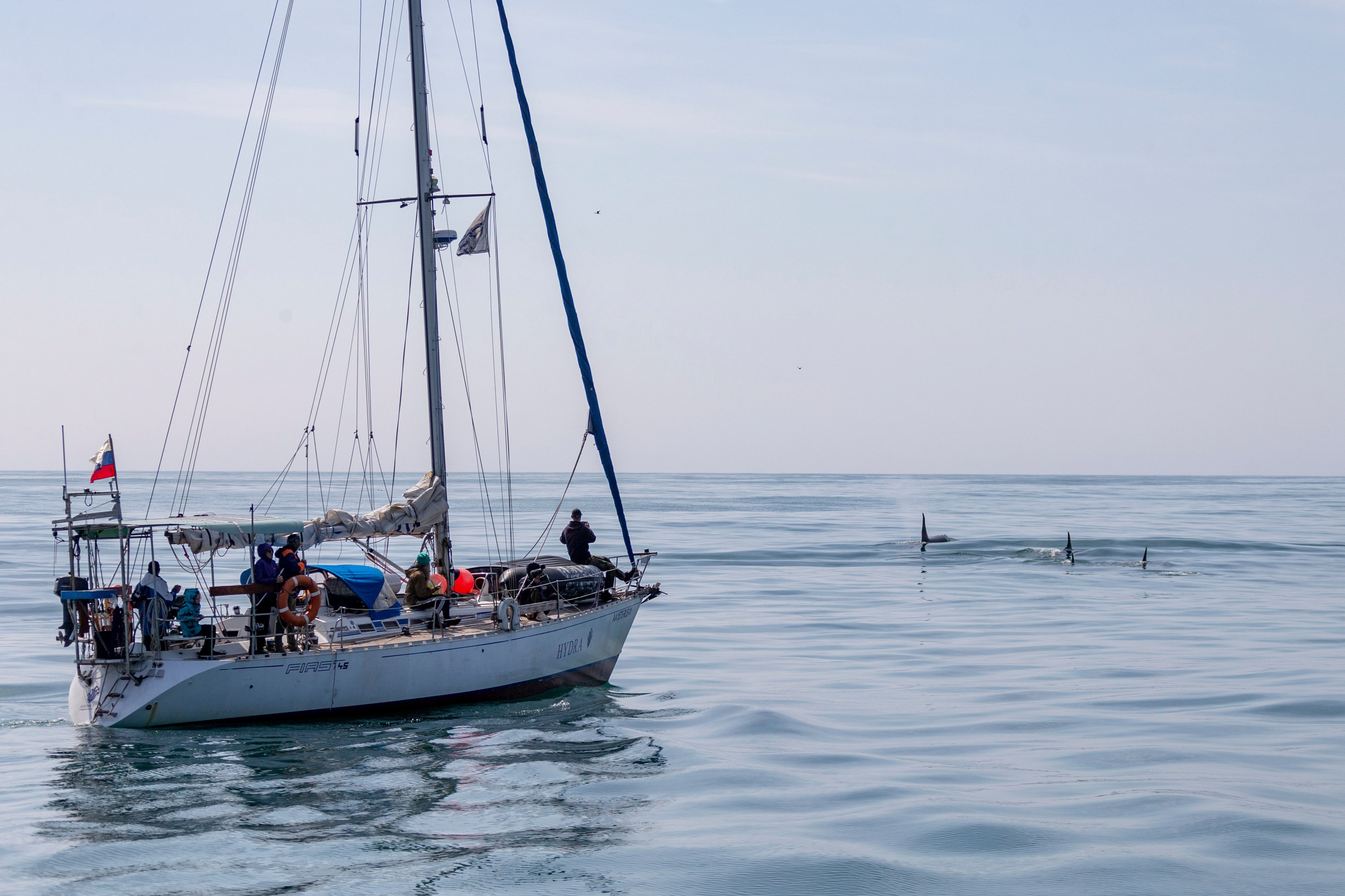 Мыс Зелёный — вулканические скалы и океанские виды. Время Камчатки: чтобы найти свой путь, нужно скорость умножить на время