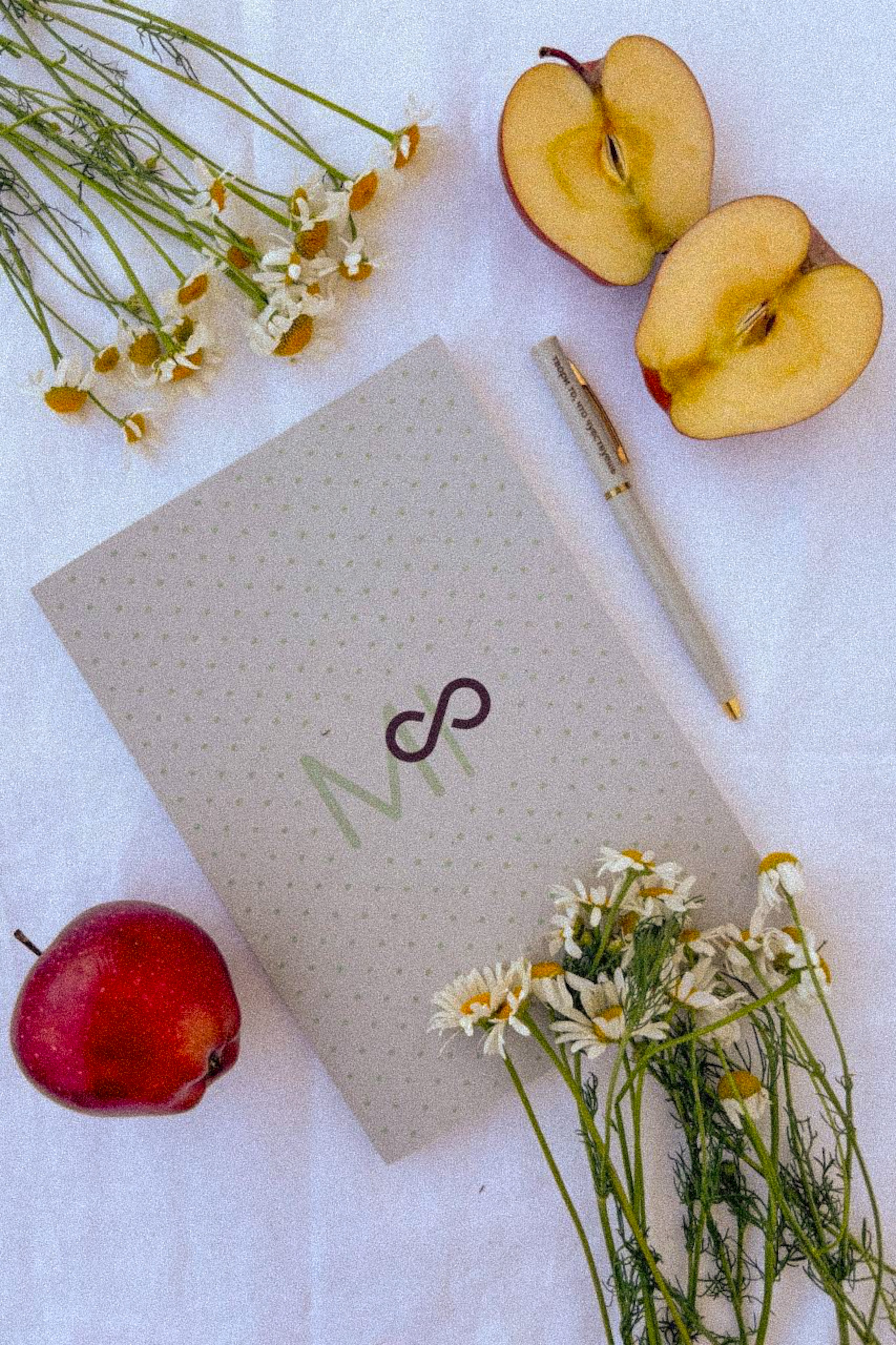 Курс «По предметной съемке и продвижению в Reels». Anushikcreates