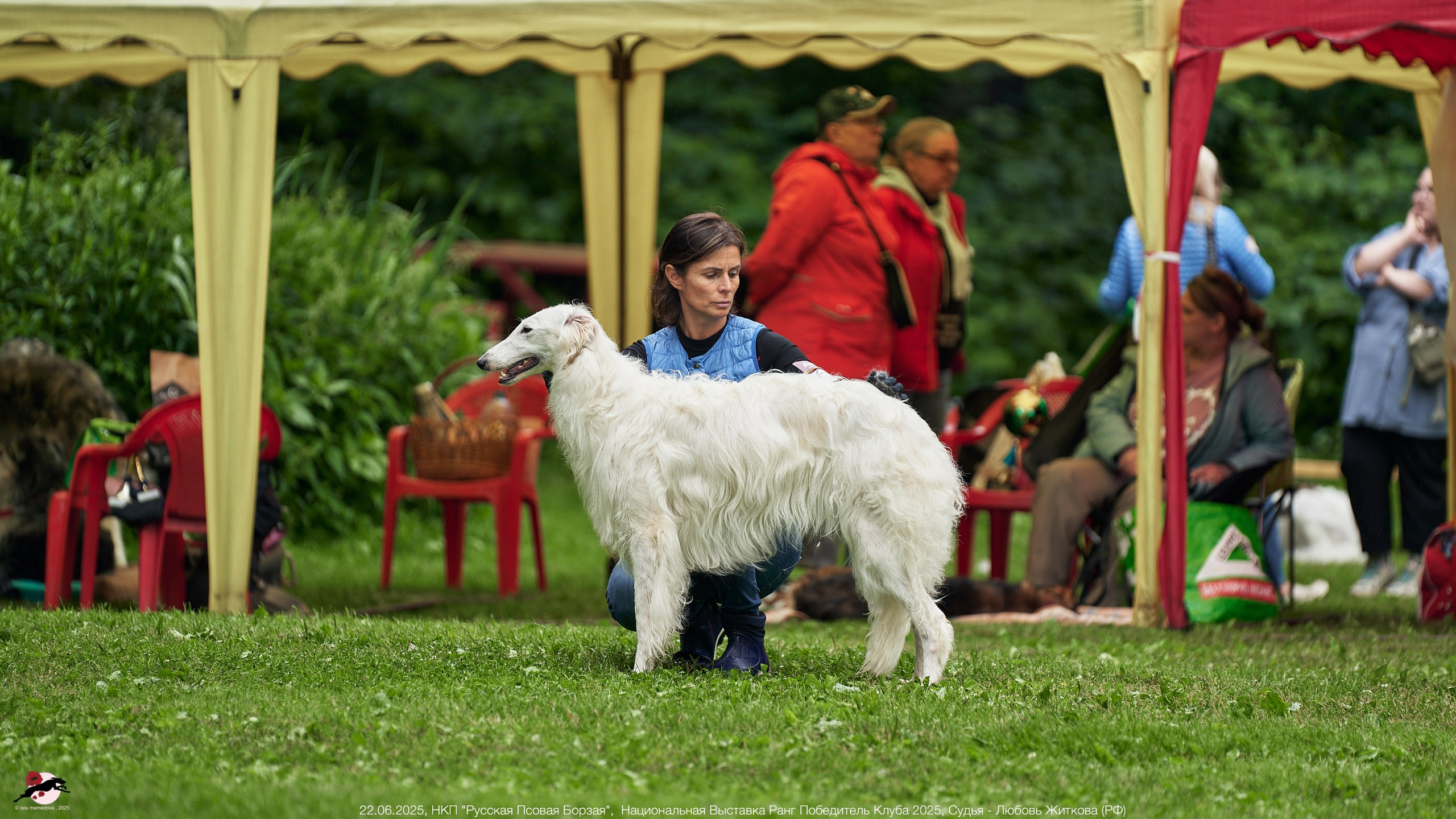 22.06.2025 | Национальная Выставка НКП "Русская Псовая Борзая"