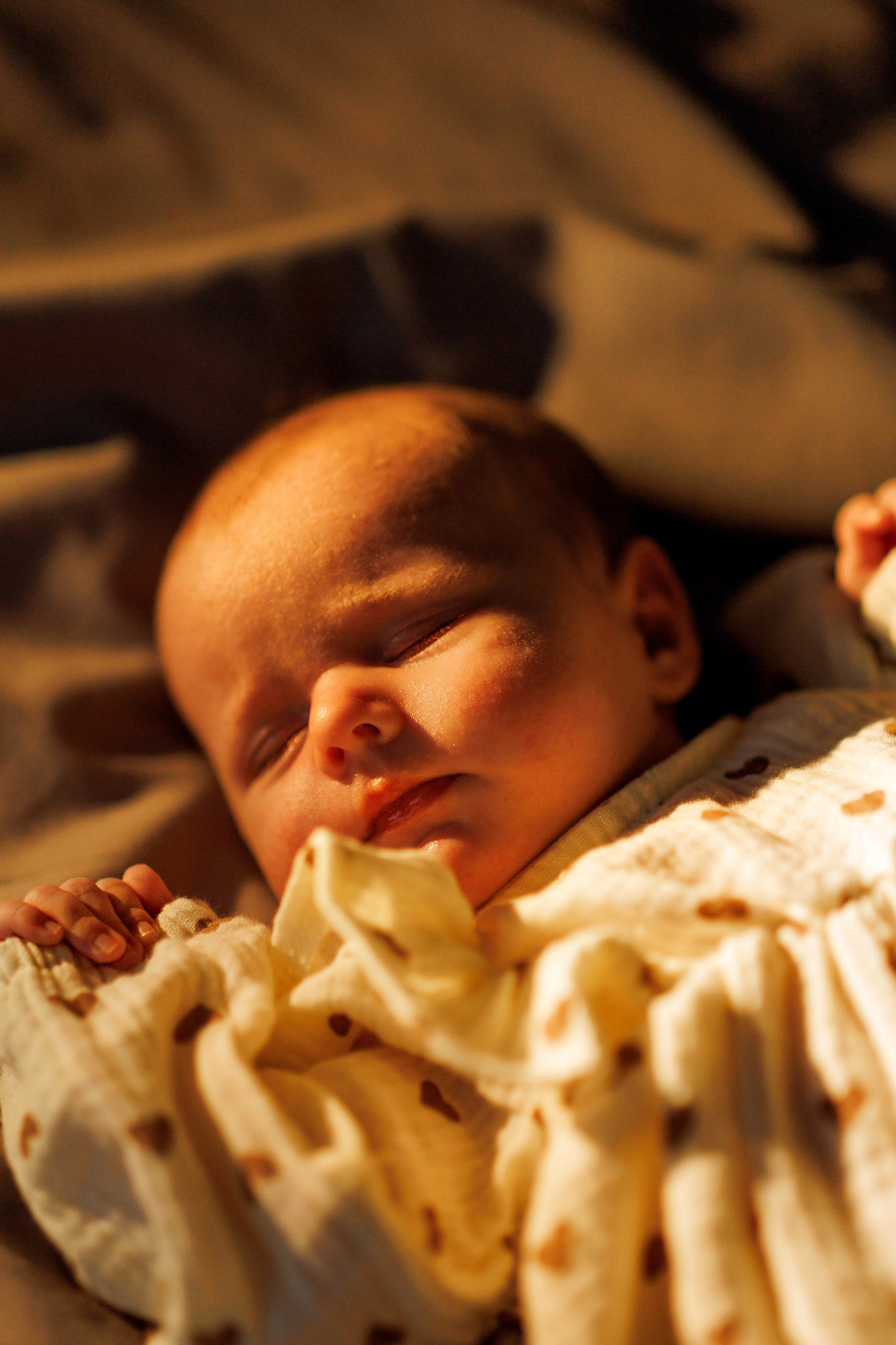 Истории. Детский и семейный фотограф в Твери Ольга Крестьянинова