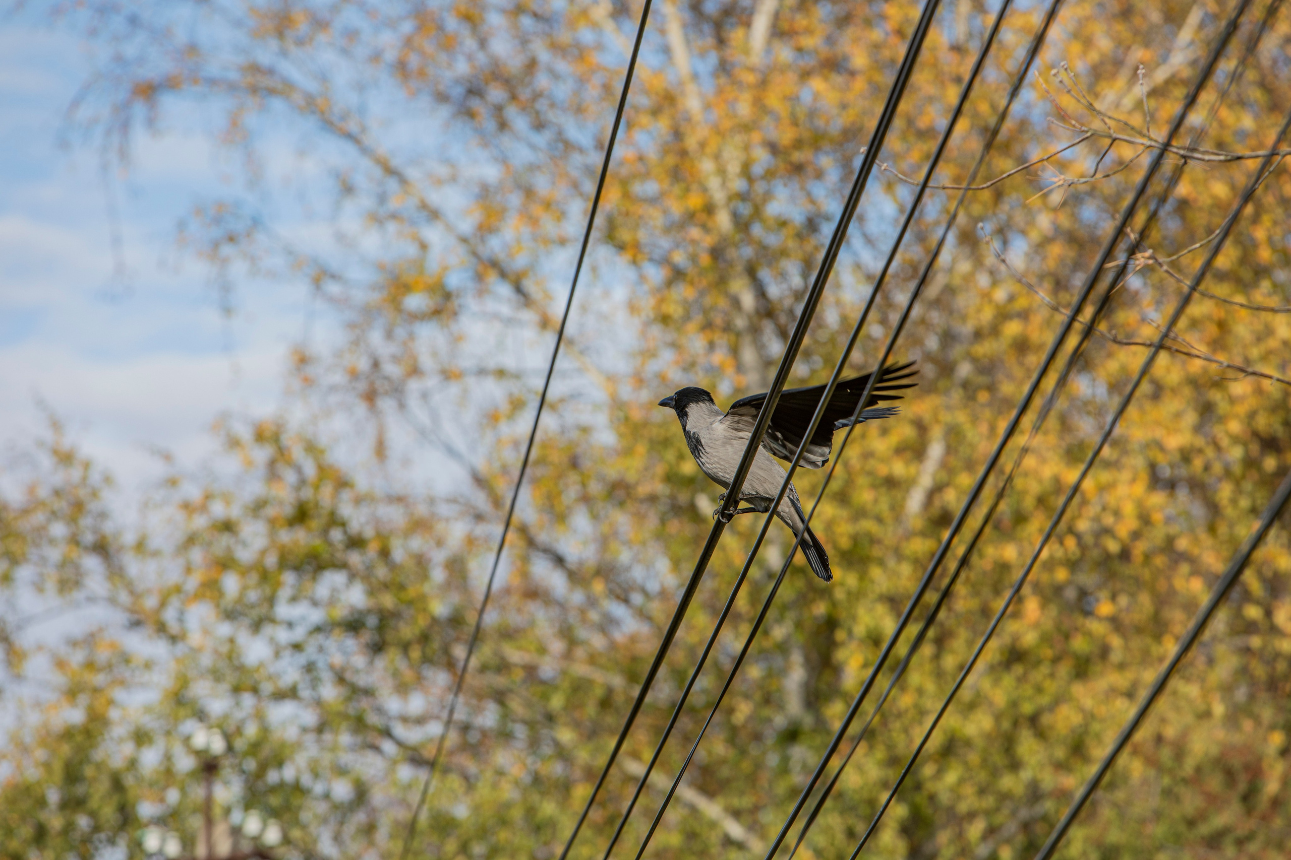 Воскресенье в г. Дмитров. Фотограф Сергей Ловкий