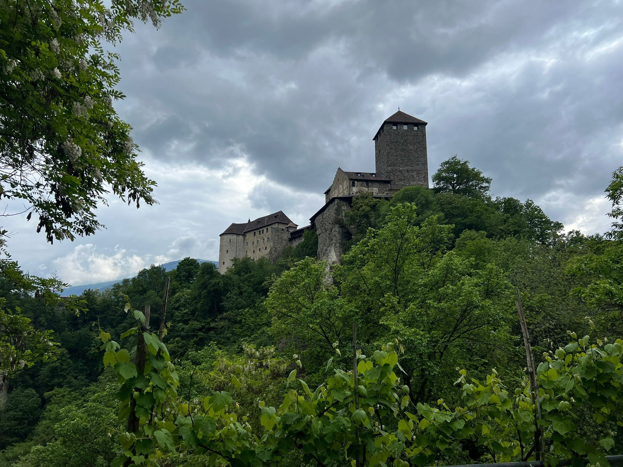 About the artist. Artist Margarita Gusak