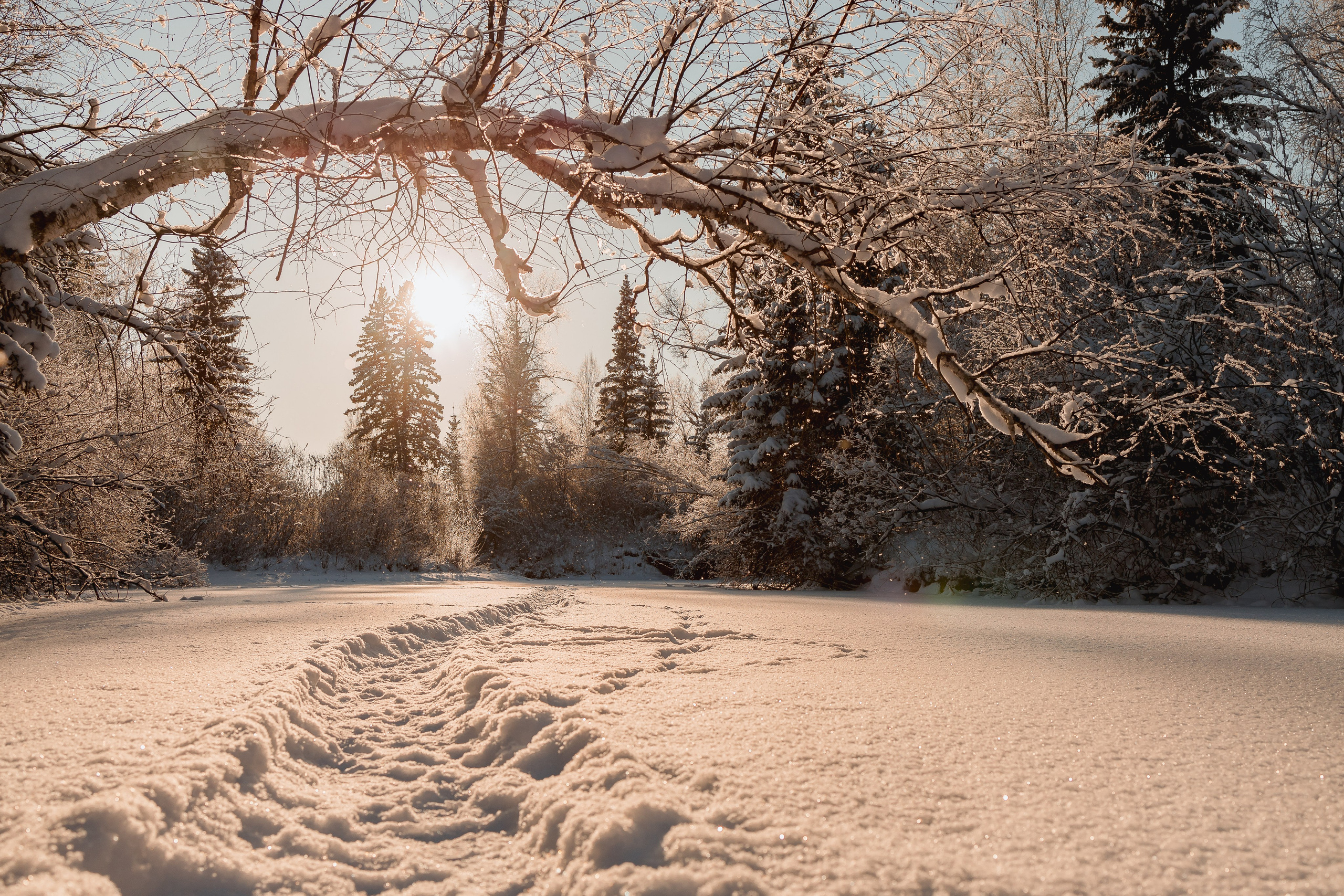 Зима 2023, -30. Семейный и детский фотограф в Железногорске Саламахо Ольга