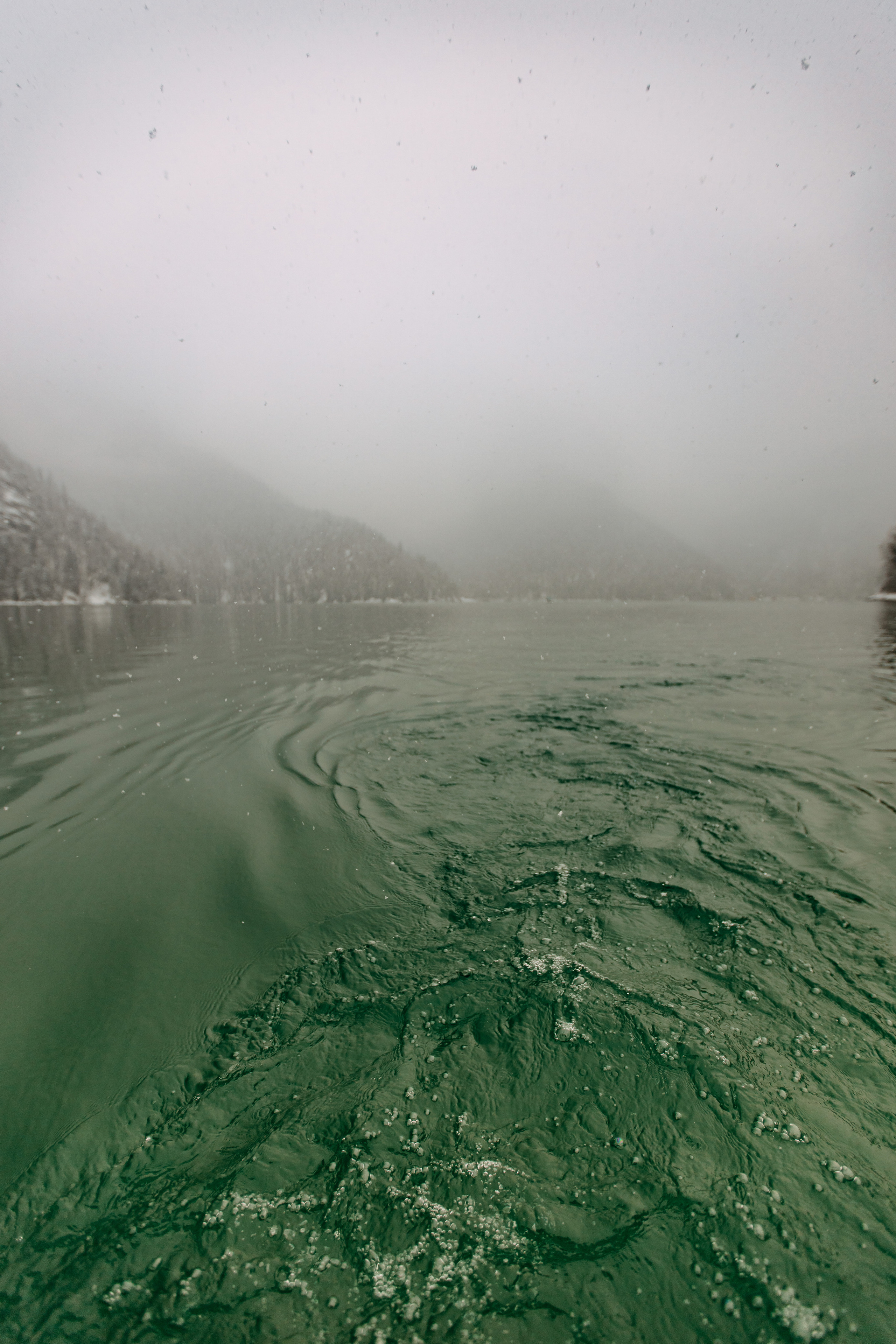 Фото и видео съемка. Андрей Ионов