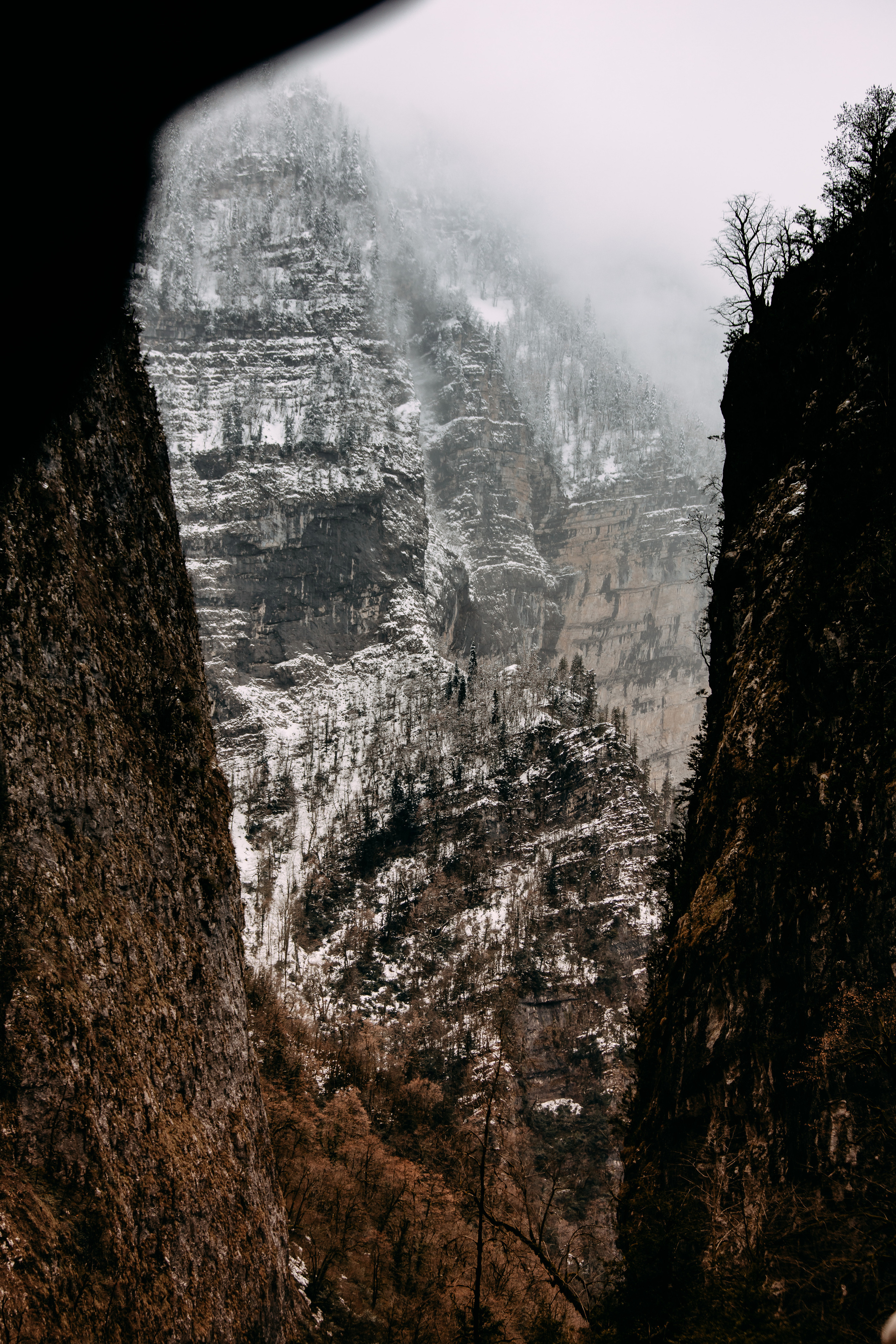 Фото и видео съемка. Андрей Ионов