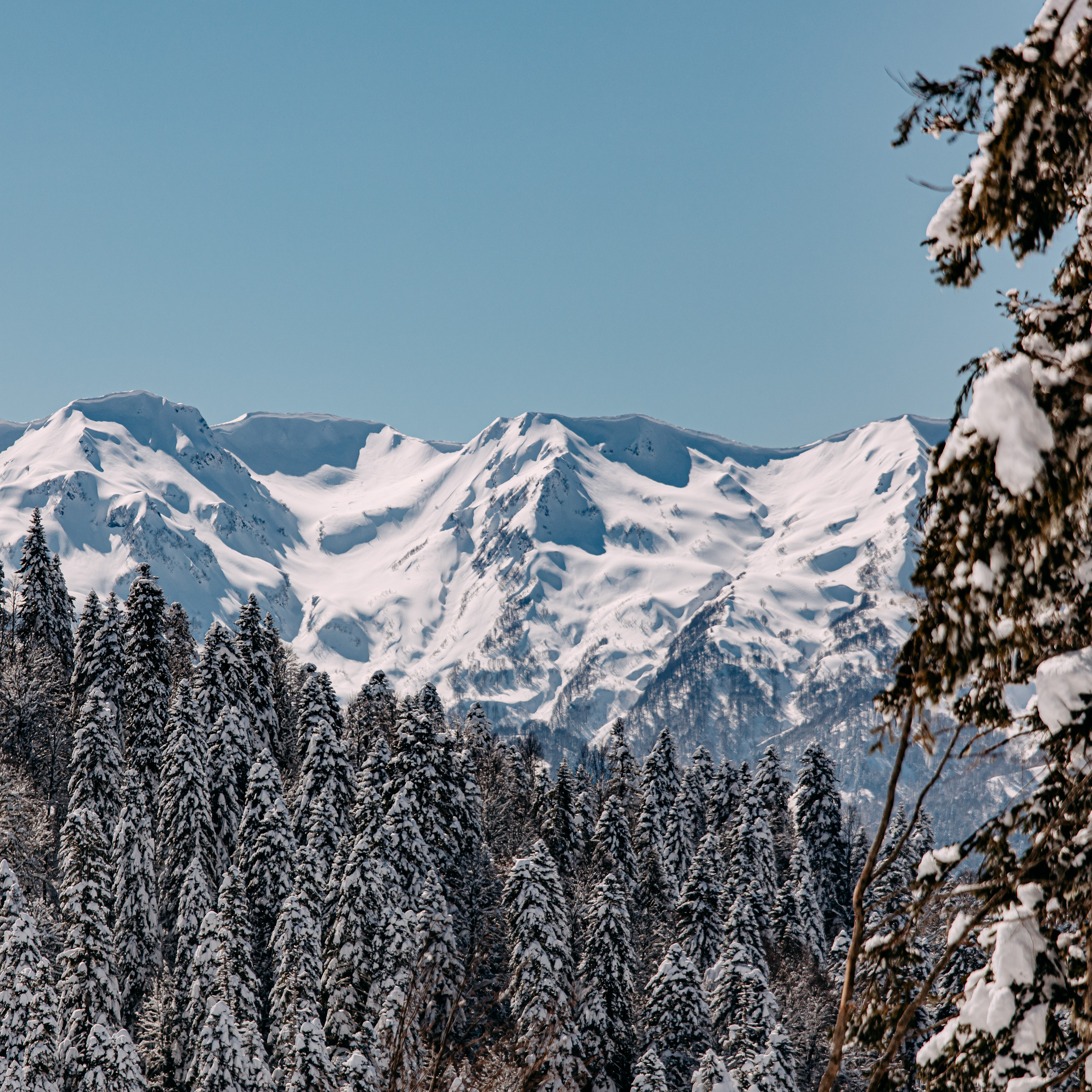 Фото и видео съемка. Андрей Ионов