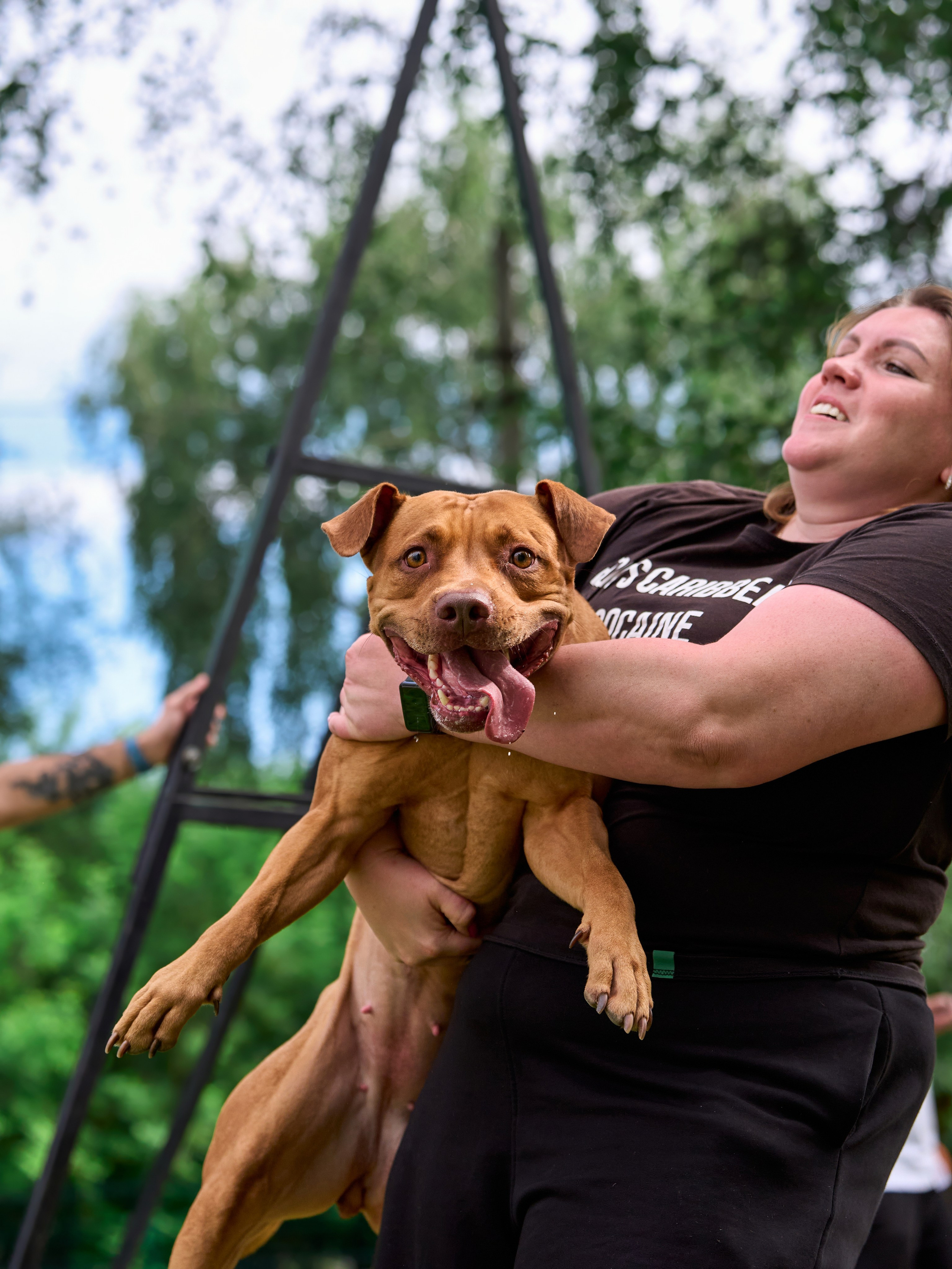 Двухдневные соревнования «Jump'n'Gym Fest — 2024». Фотограф-анималист Михаил Манухин