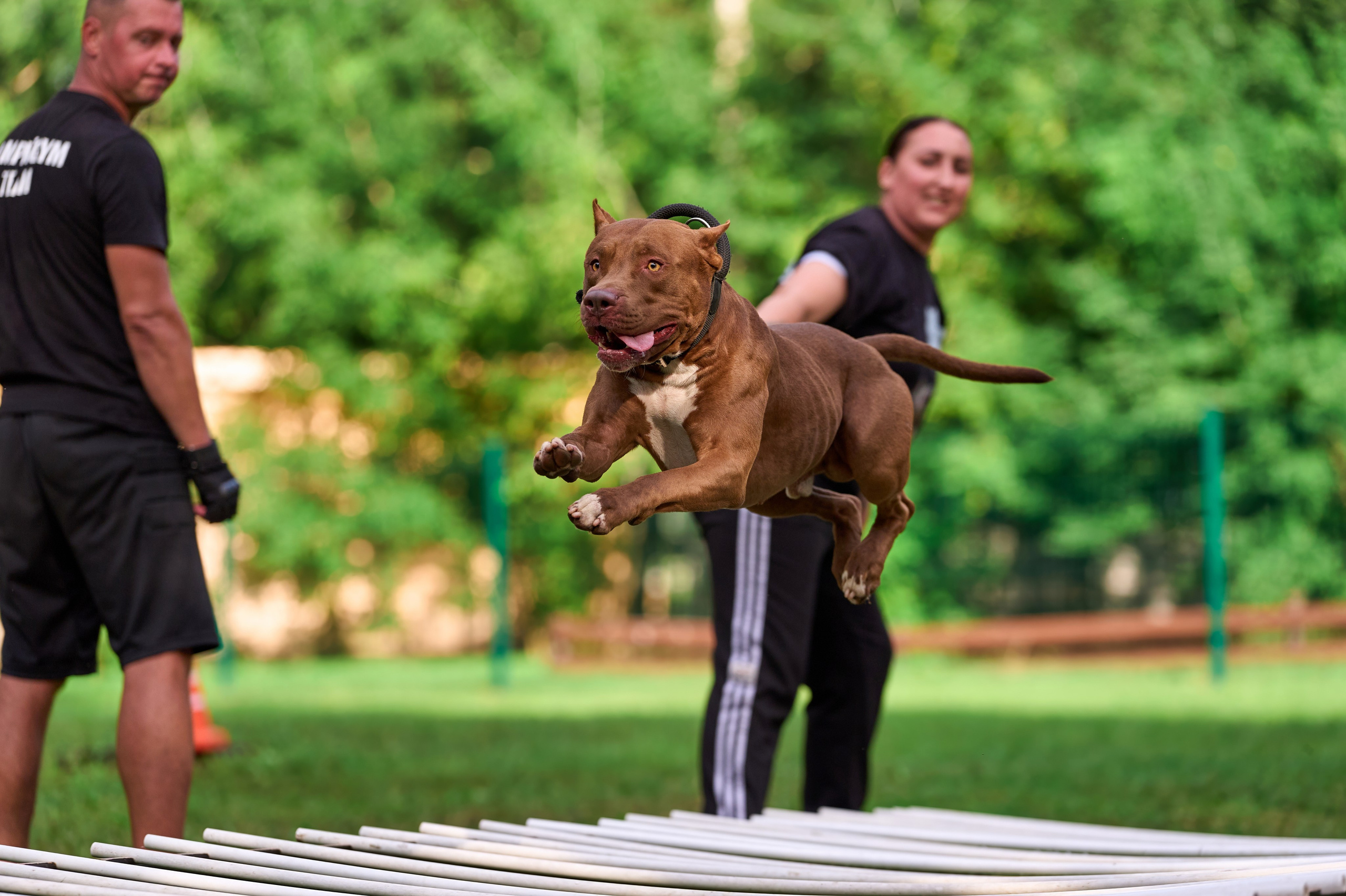 Jump'n'Gym JUMP! — 2024. Фотограф-анималист Михаил Манухин