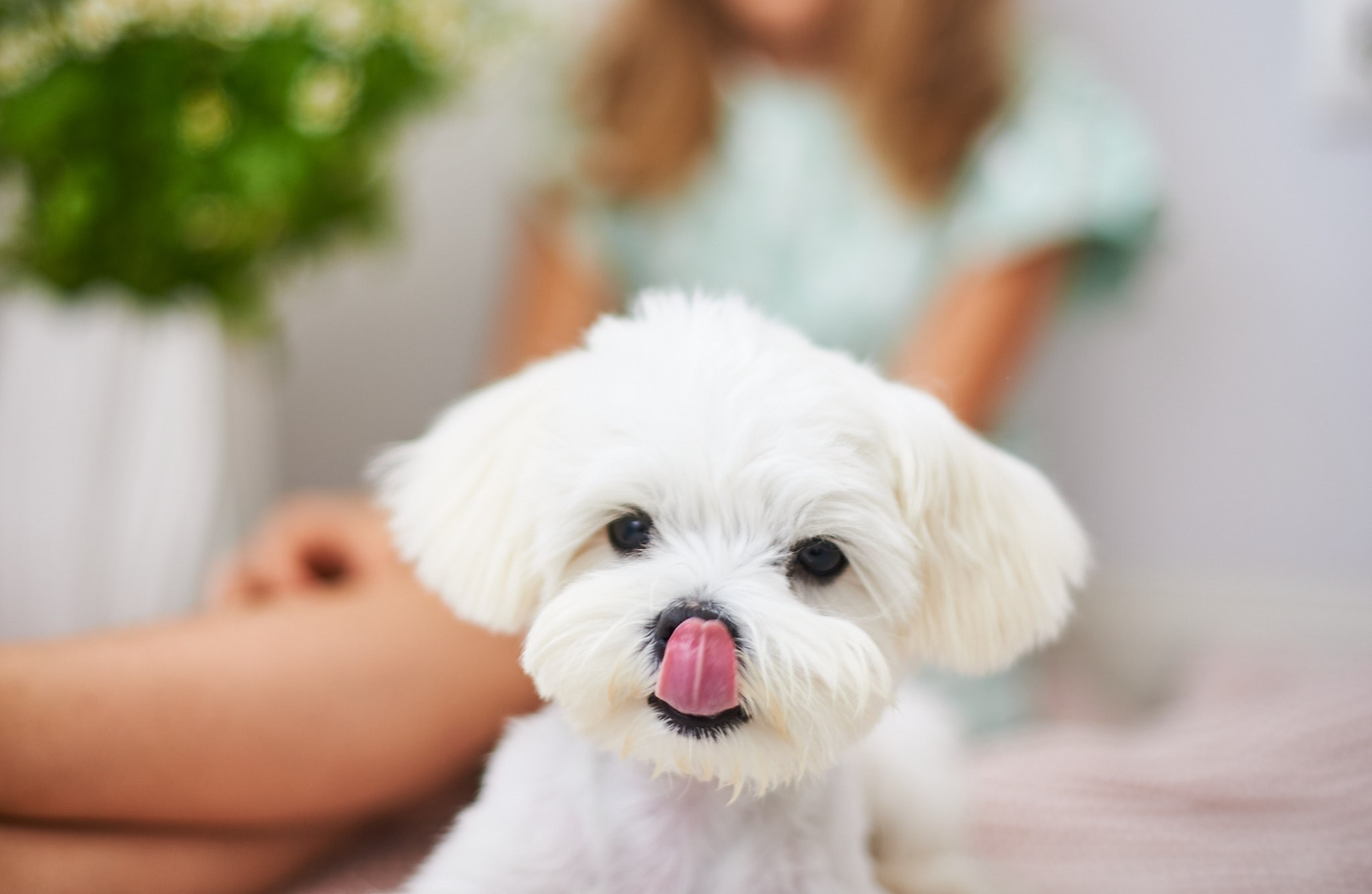 Семейный и детский фотограф Анна Железовская | Москва