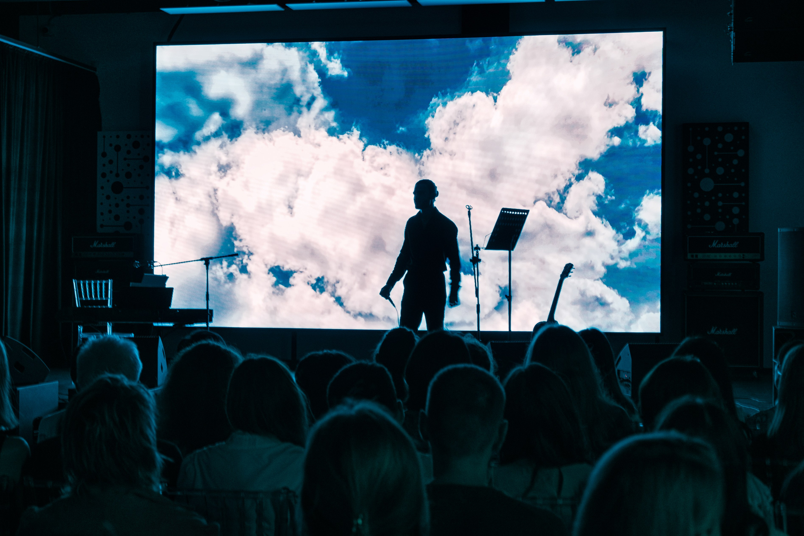 КОНЦЕРТ. Света ЧЕ. Мастер интеллектуальной фотографии. Краснодар