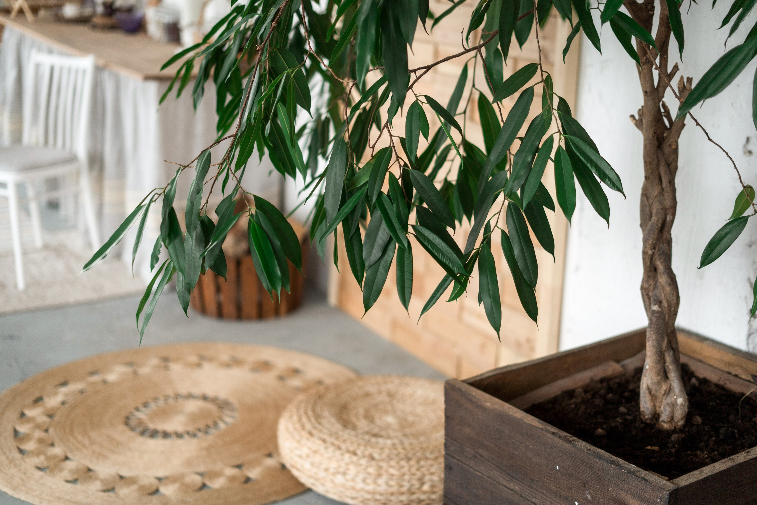 Фотодень 8 Марта 2026. Фотограф Юлия Андриянова Саратов Москва