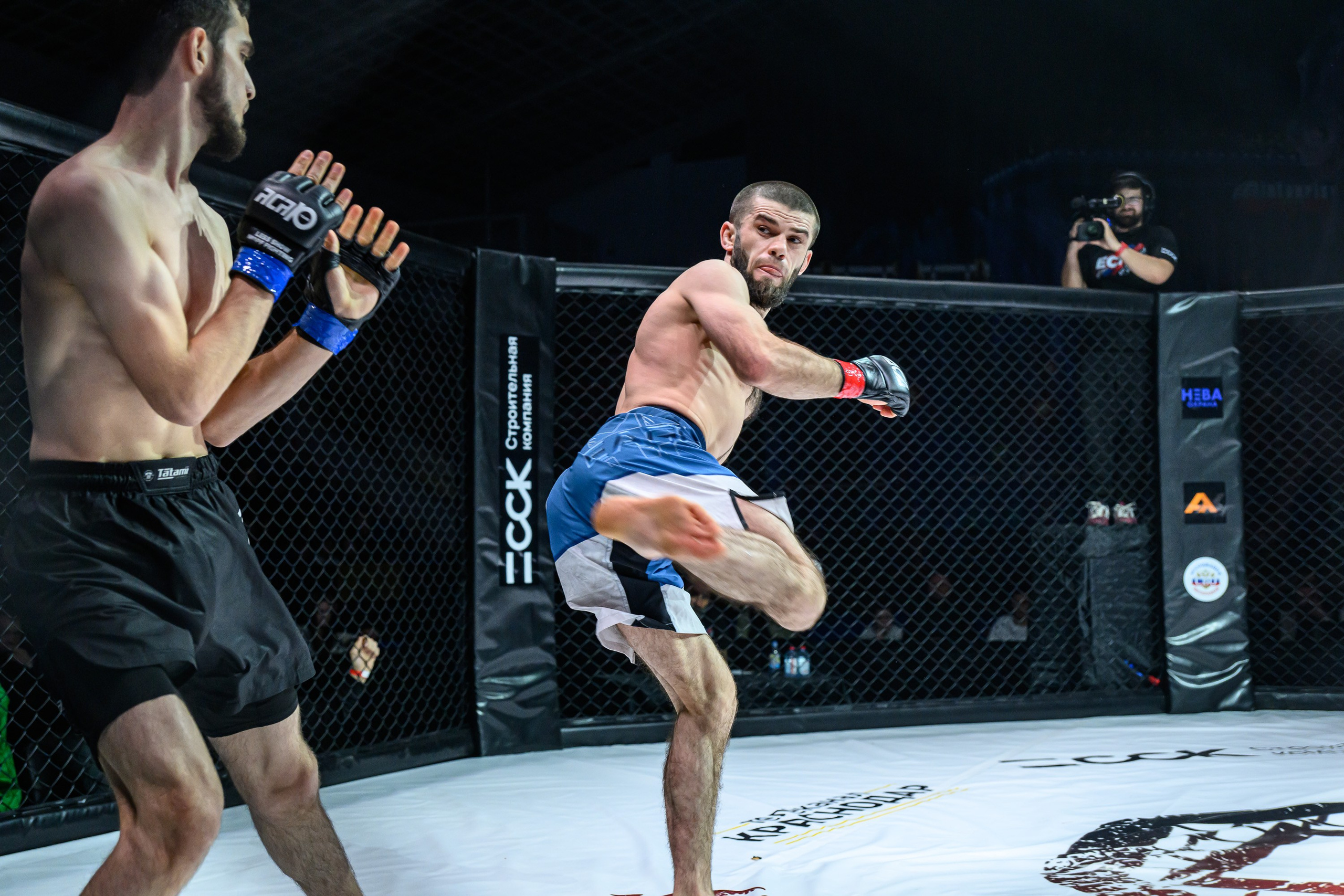 Фотосъемка профессионального турнира по смешанным единоборствам. Профессиональная фотосъемка. Ростов-на-Дону