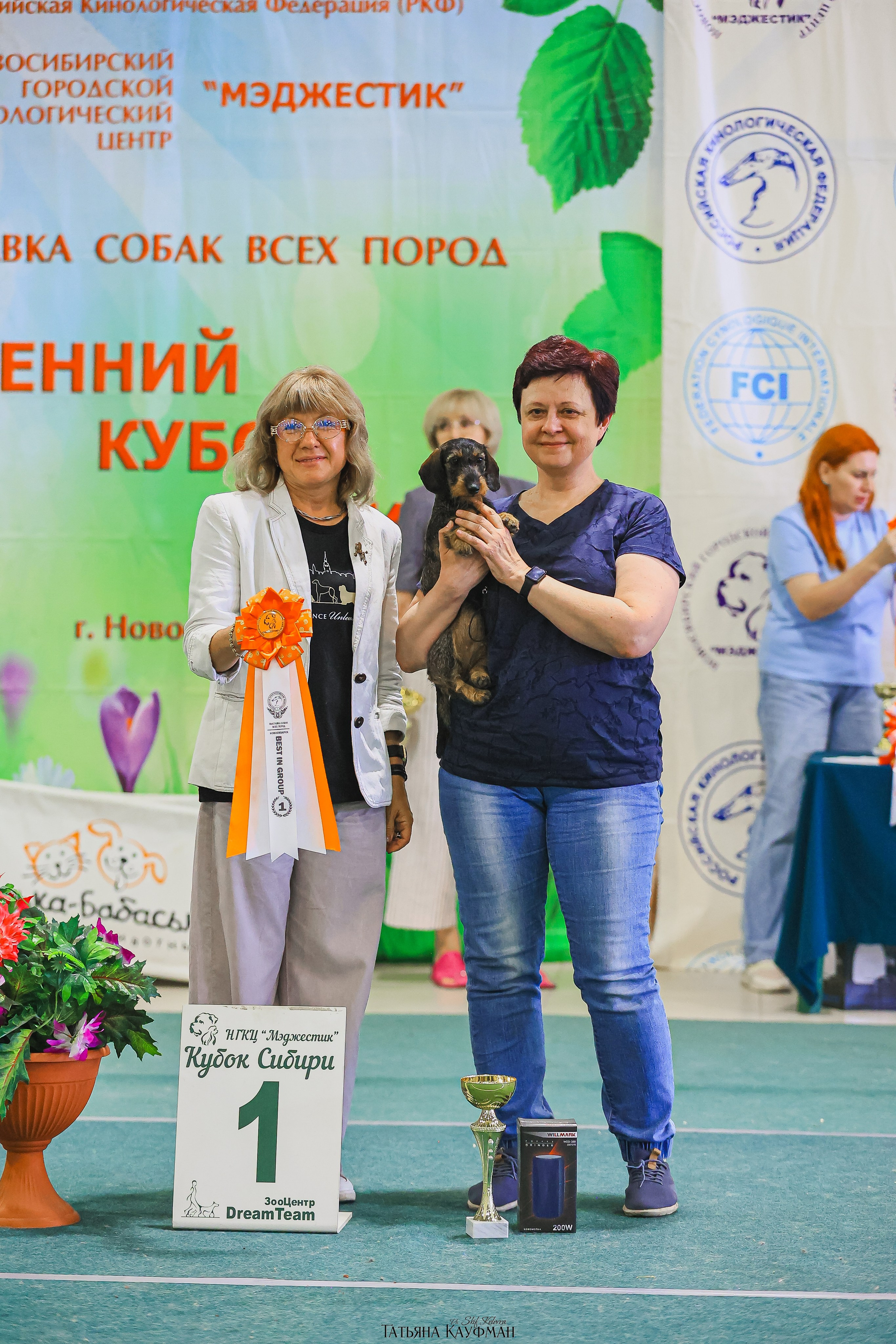 13.07.25 2х выставки собак. Новосибирск. «Кубок Сибири»