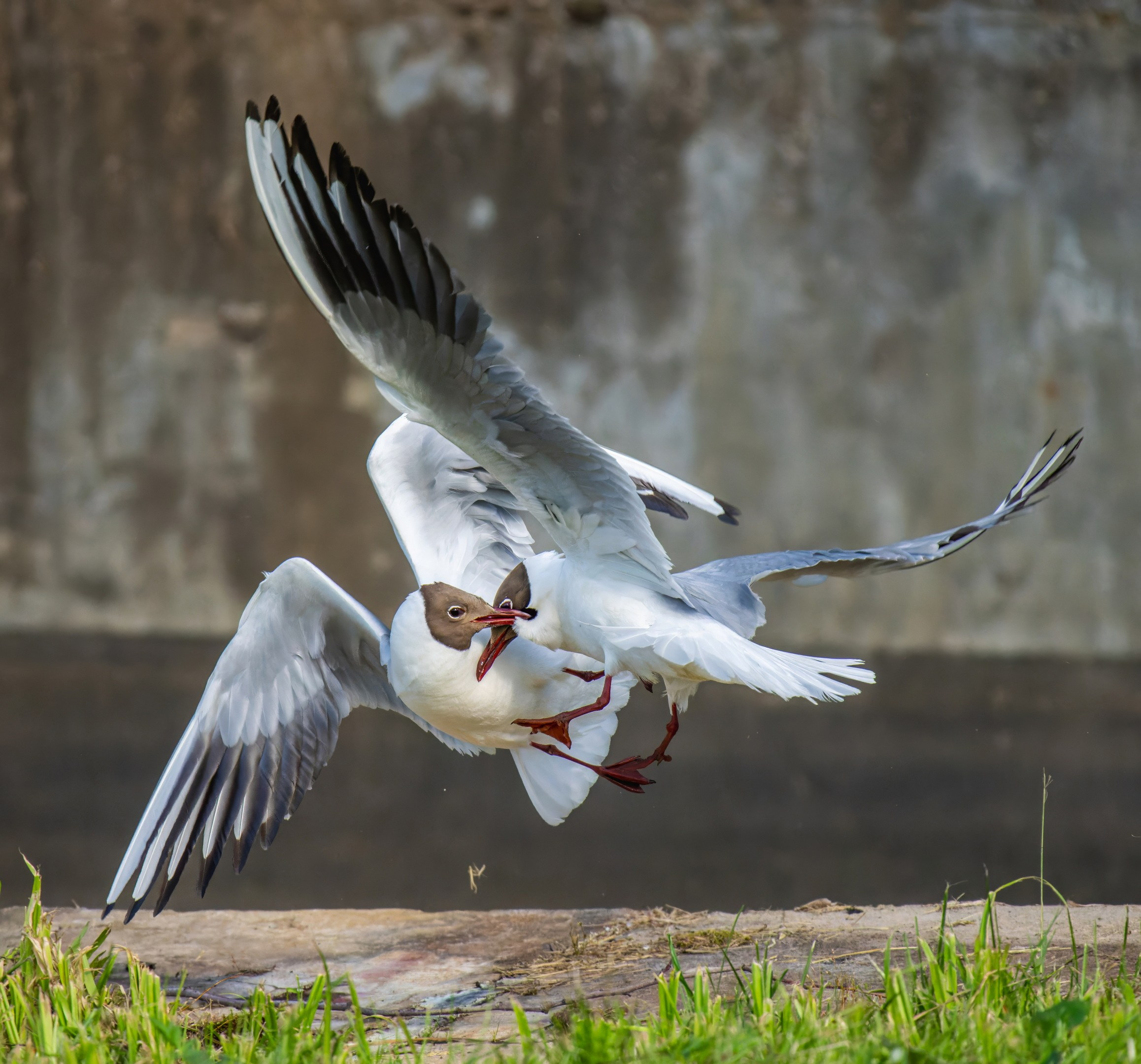 Творчество. Константин Дем | Фотограф