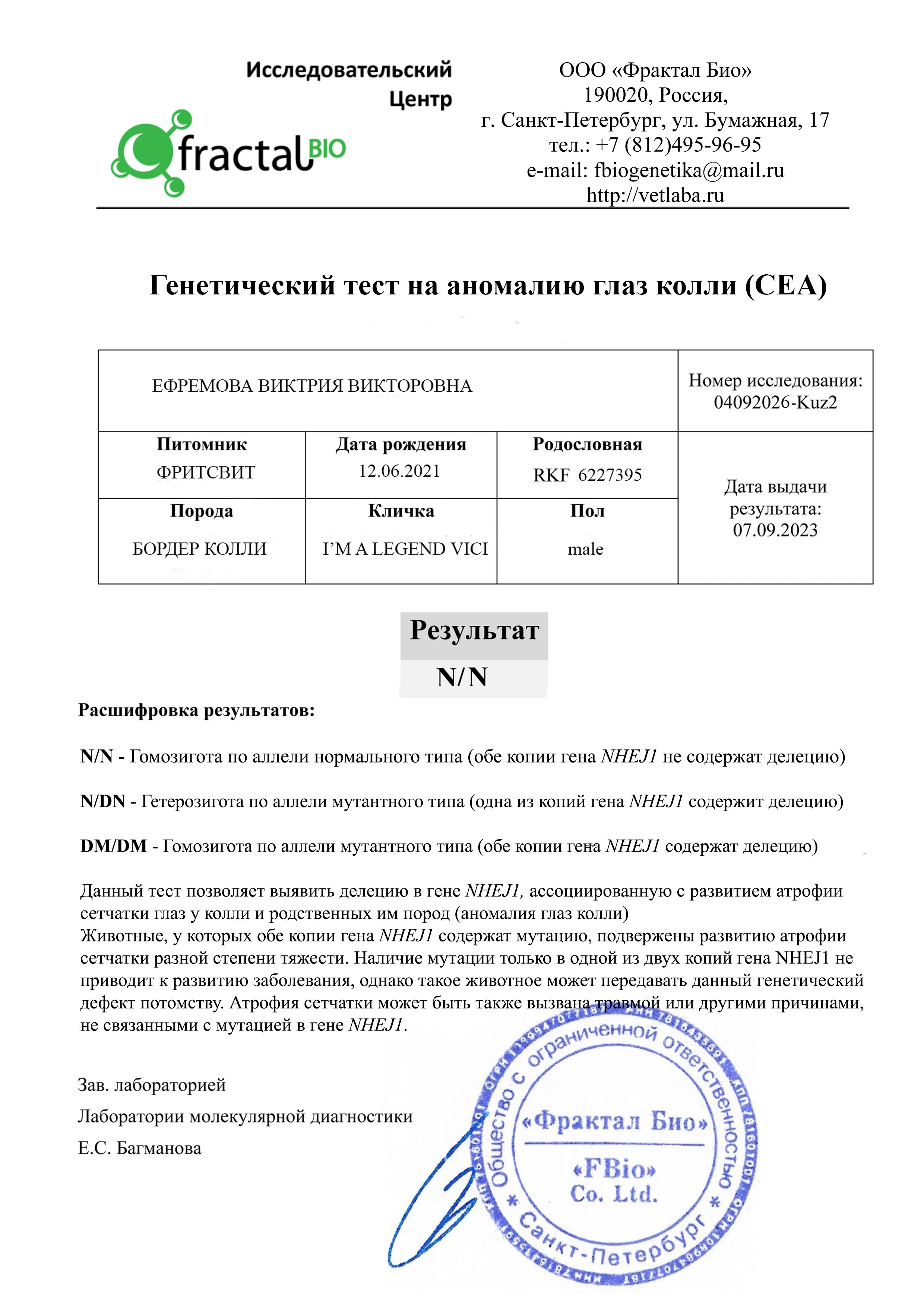 Наши Бордер колли