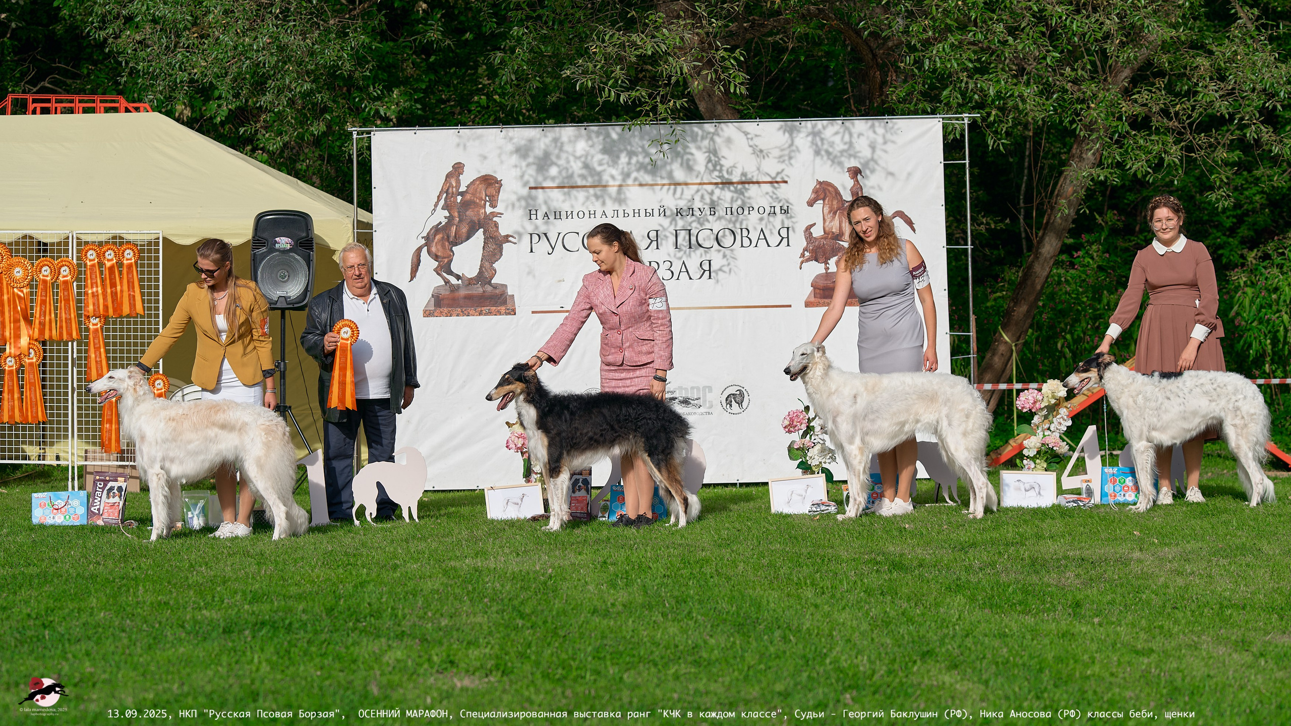 ОСЕННИЙ МАРАФОН | Специализированная выставка породы Русская Псовая Борзая ранг "КЧК в каждом классе"