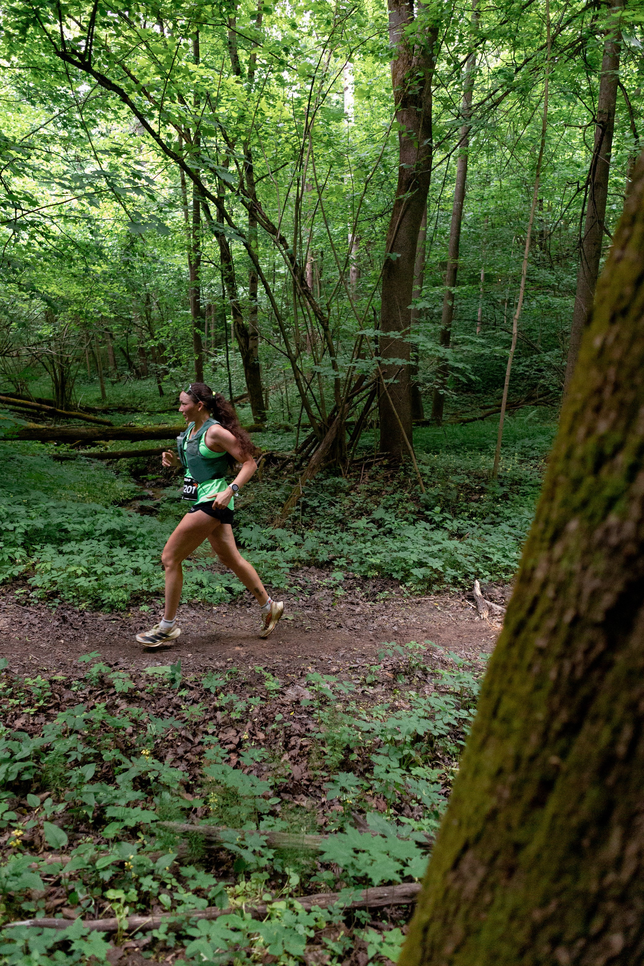 CityTrail Ромашково