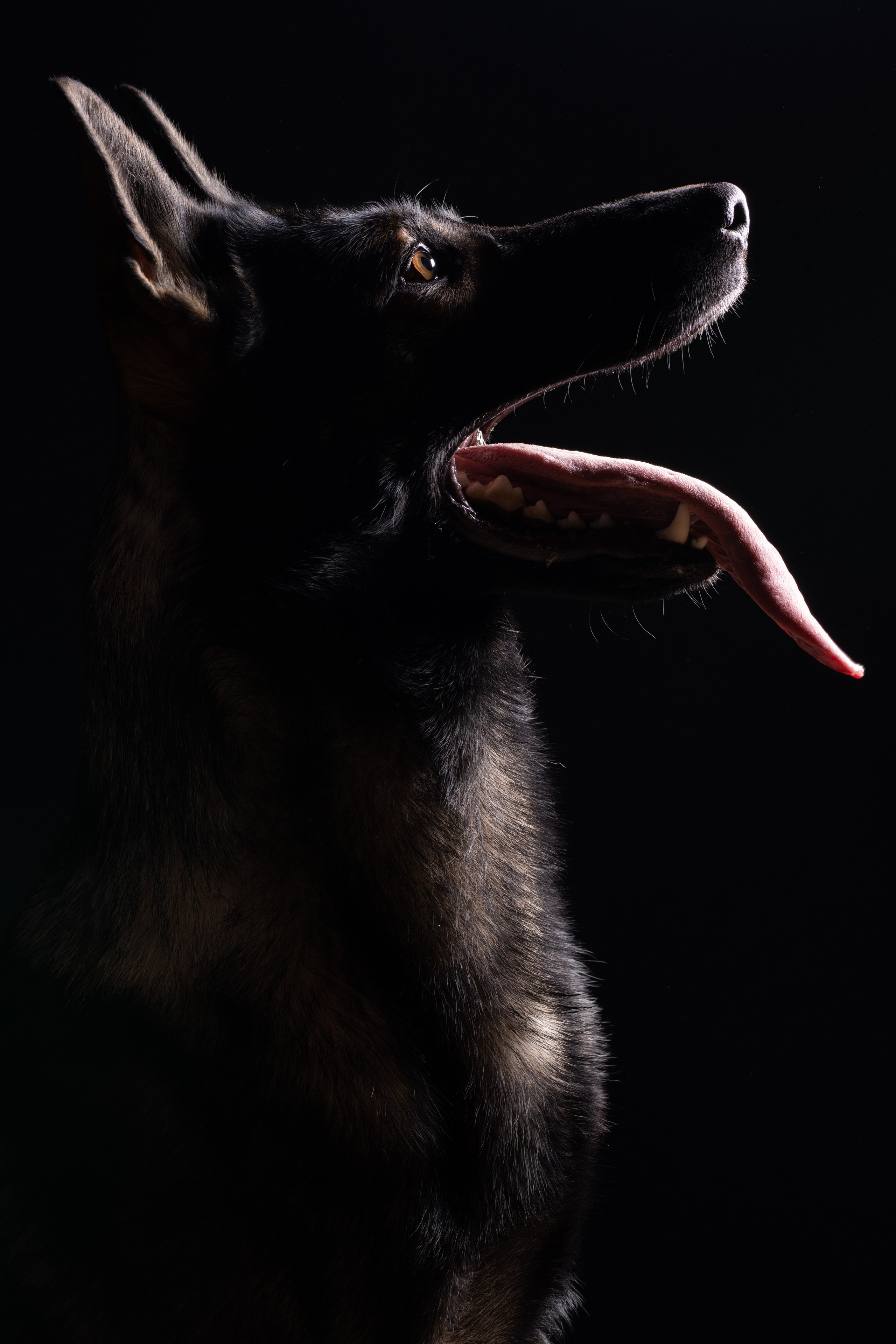 Фотограф и видеограф в Санкт-Петербурге | Лена Голубева