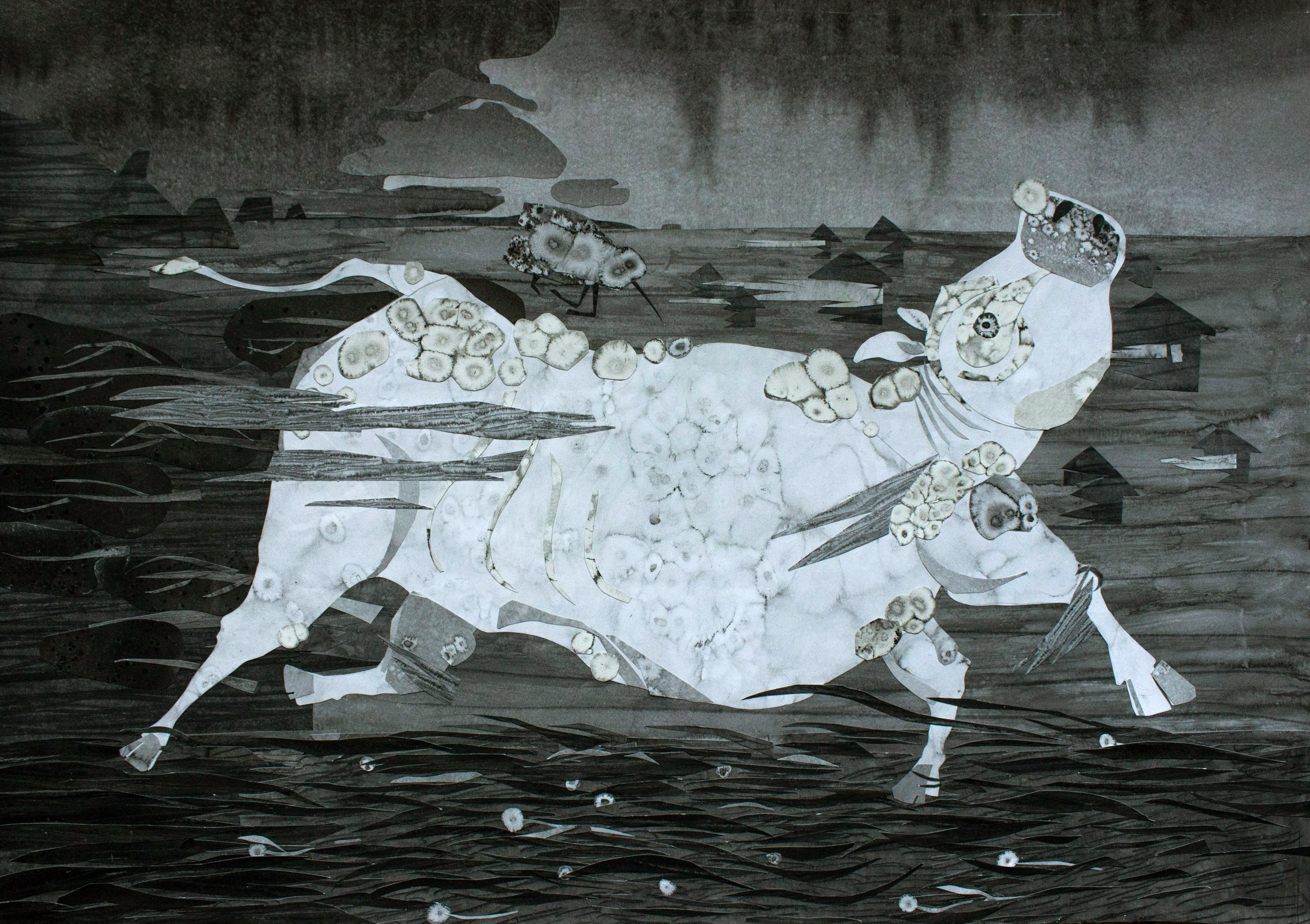 ИО коллаж 60Х80 см 2016 г