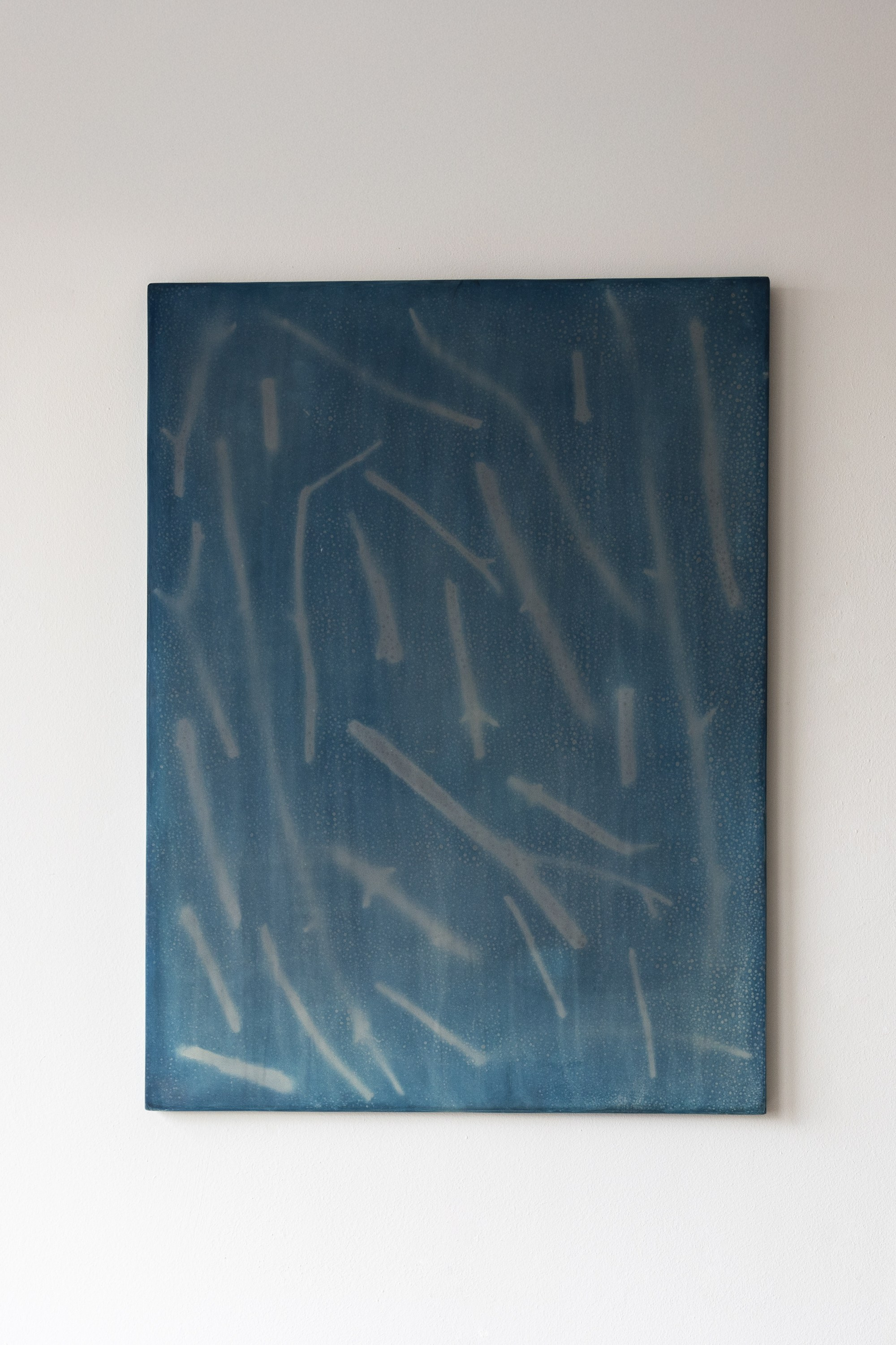 196-221. Размер работы: 60 × 80, 2023 (дерево, фанера, штукатурка, цианотипия)