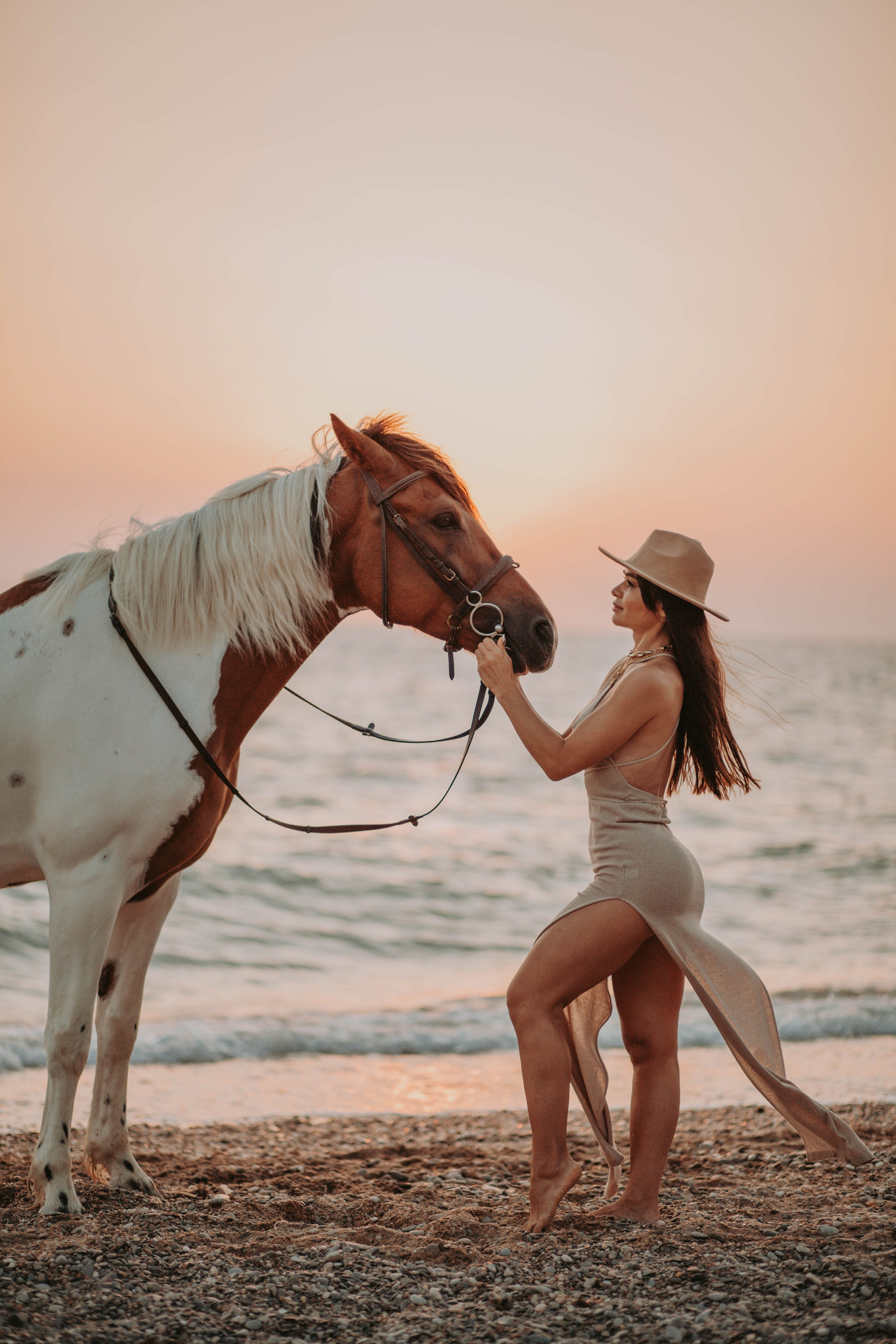 ФОТОПРОЕКТ SUNSET С ЛОШАДЬМИ. | ФОТОГРАФ | ОЛЯ | ЯЛТА | КРЫМ