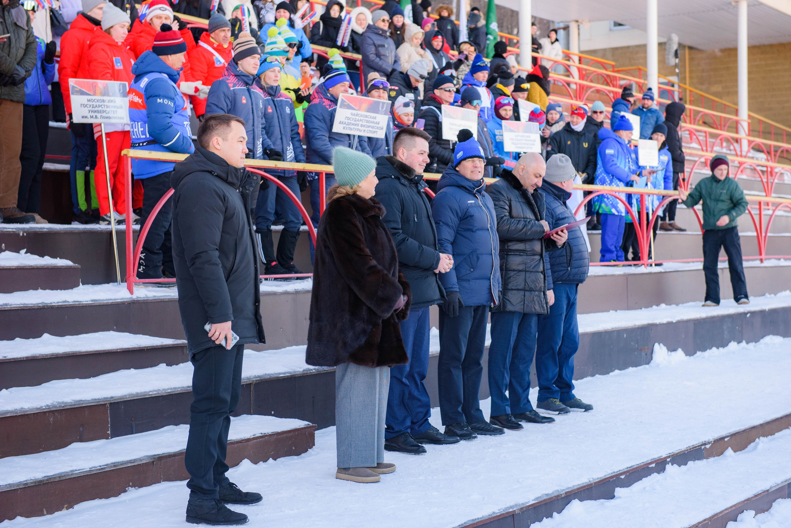 Портфолио