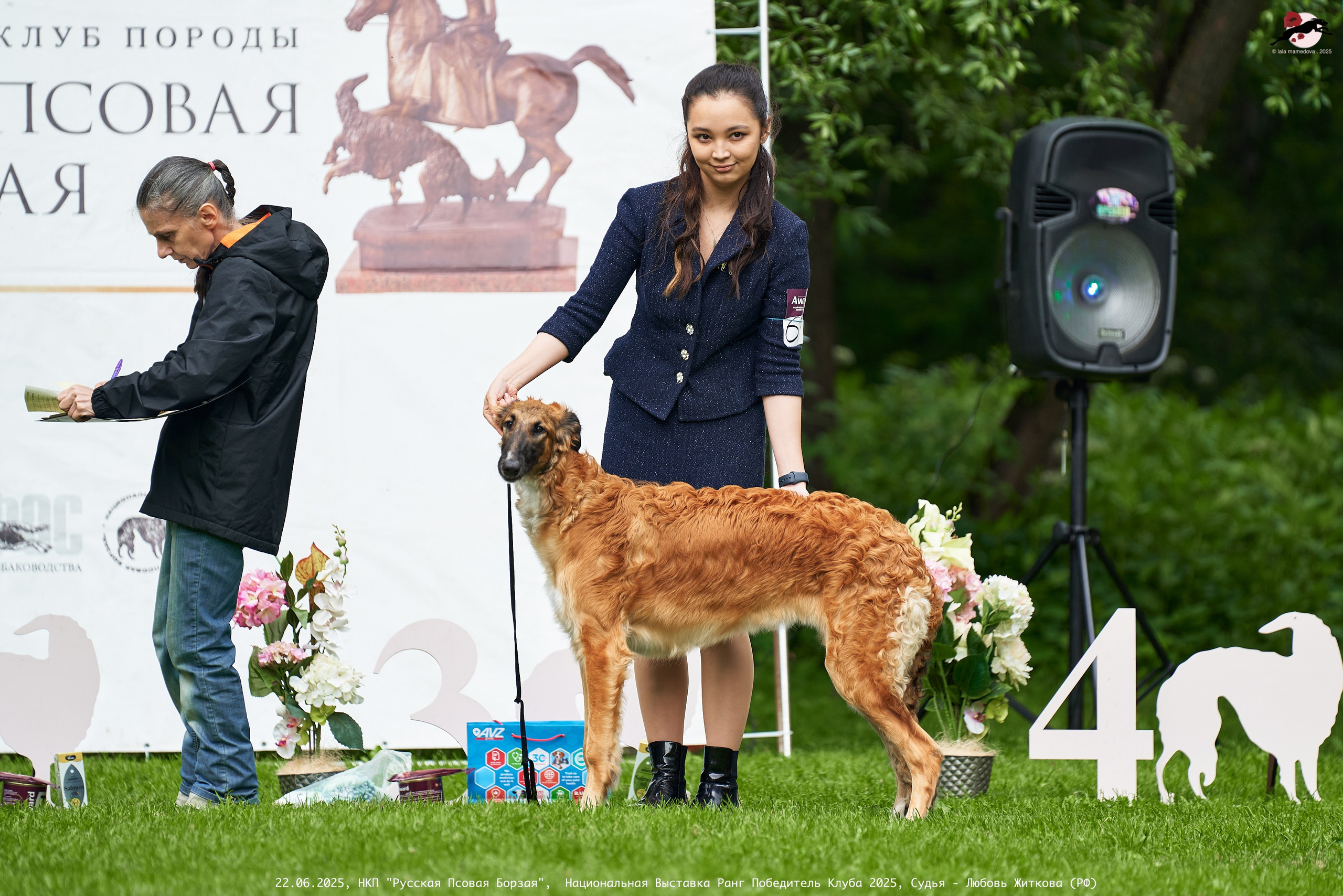 22.06.2025 | Национальная Выставка НКП "Русская Псовая Борзая"