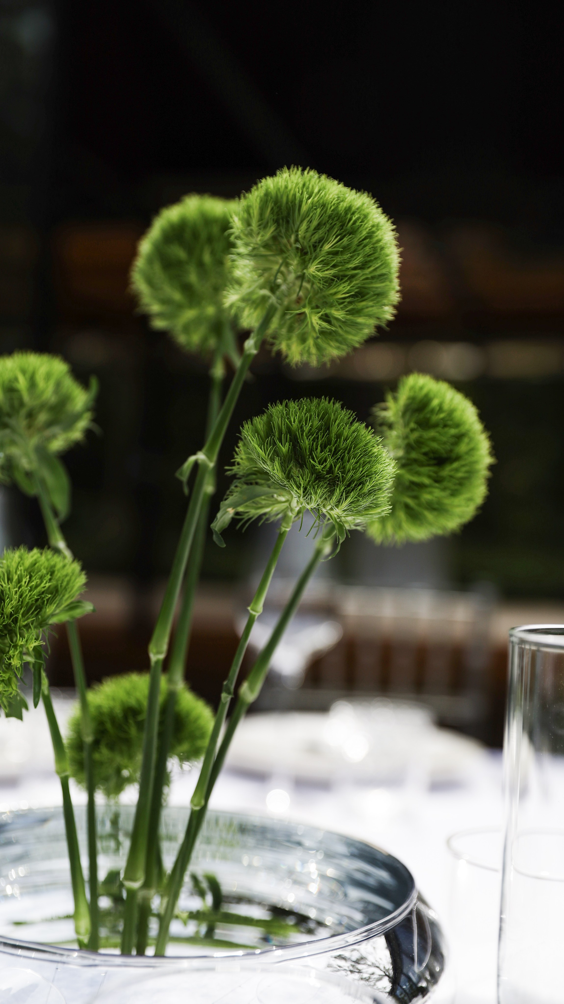 Витя и Соня. Организация свадеб и других мероприятий во Владивостоке от «Рядом быть»