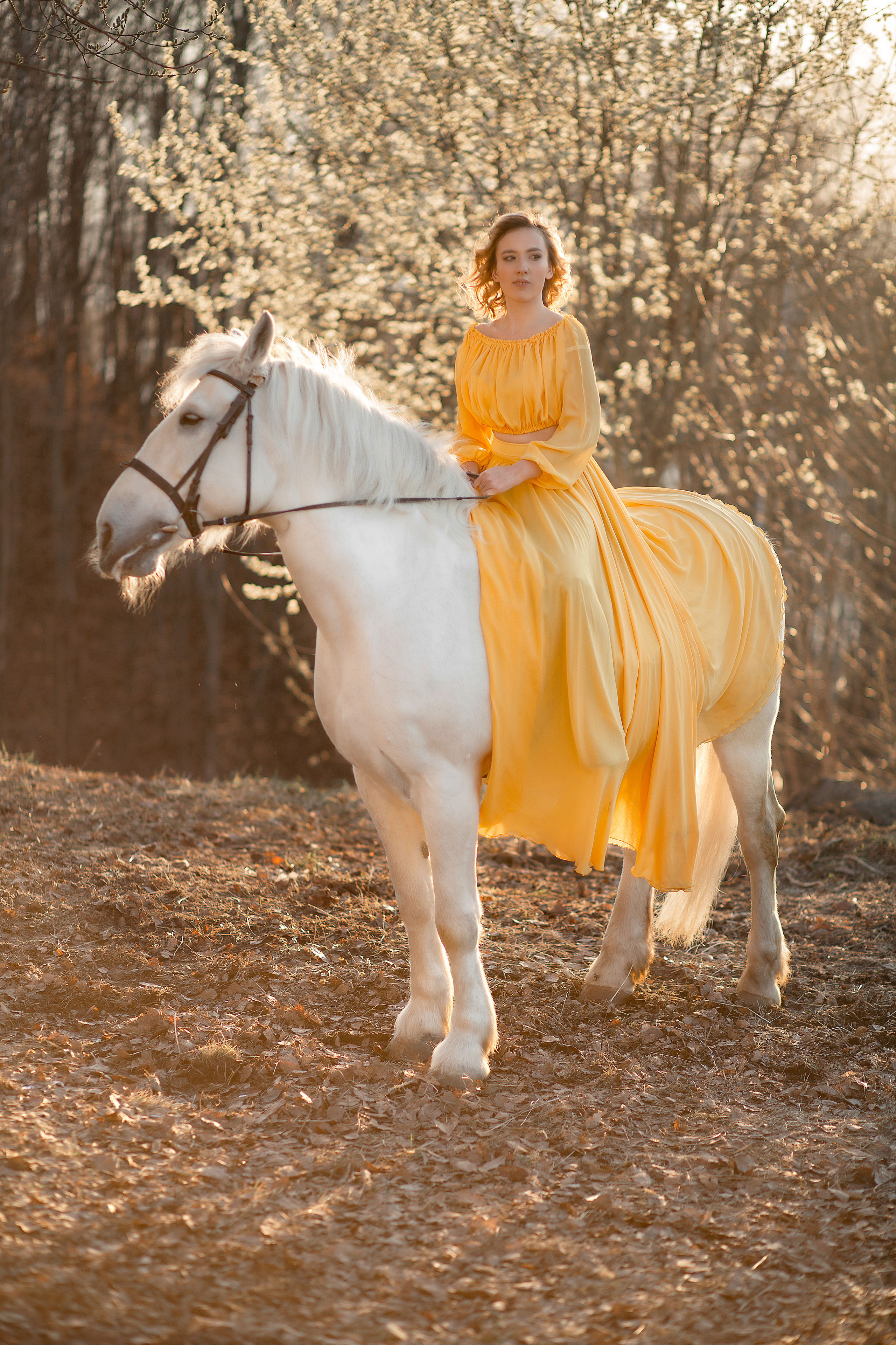 Фотосессия Екатерины и Воробья. Фотосессия с лошадьми в Нижнем Новгороде