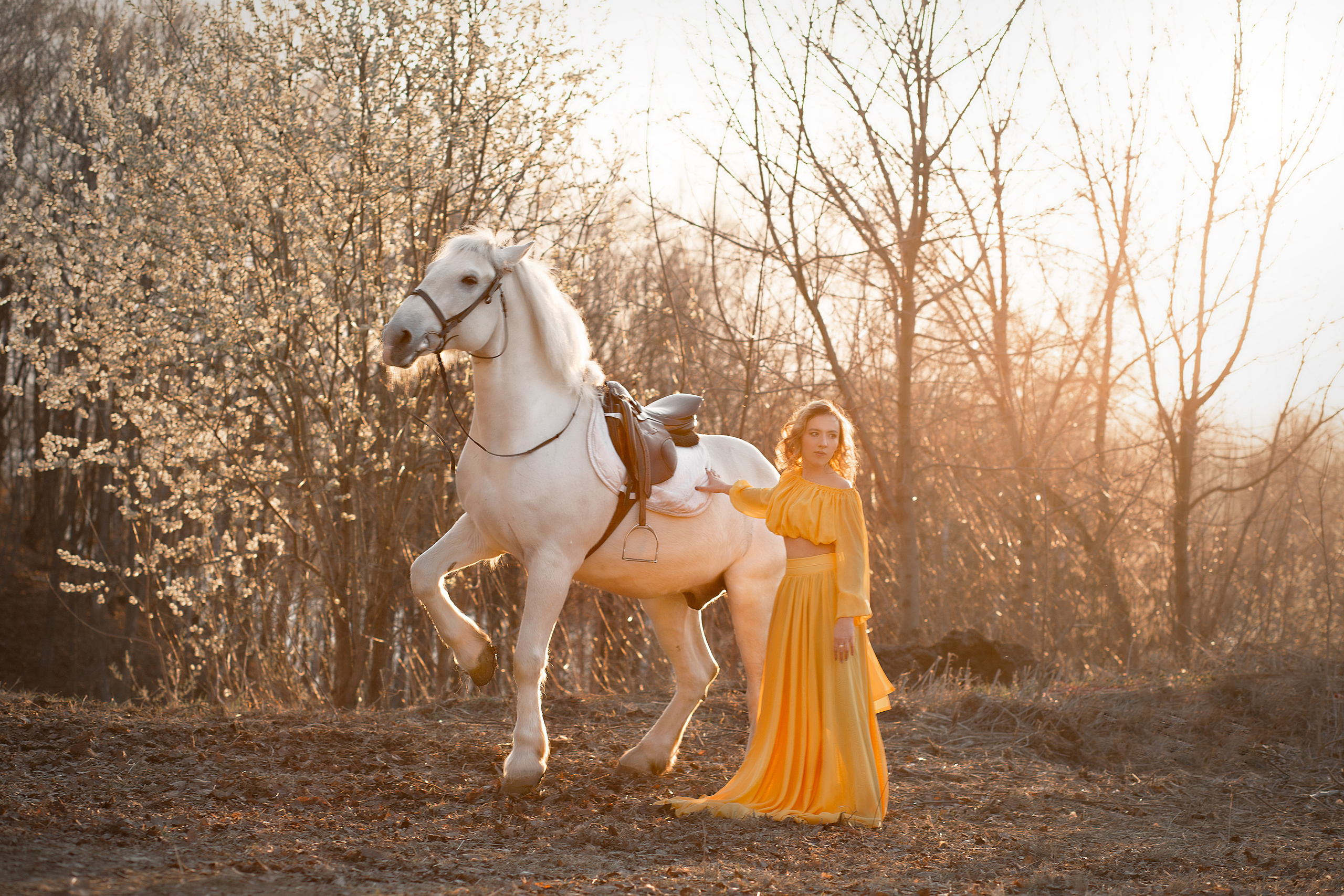 Фотосессия Екатерины и Воробья. Фотосессия с лошадьми в Нижнем Новгороде